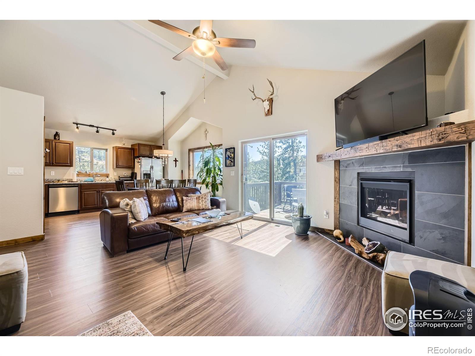 MLS Image #0 for 204  virginia road,bailey, Colorado