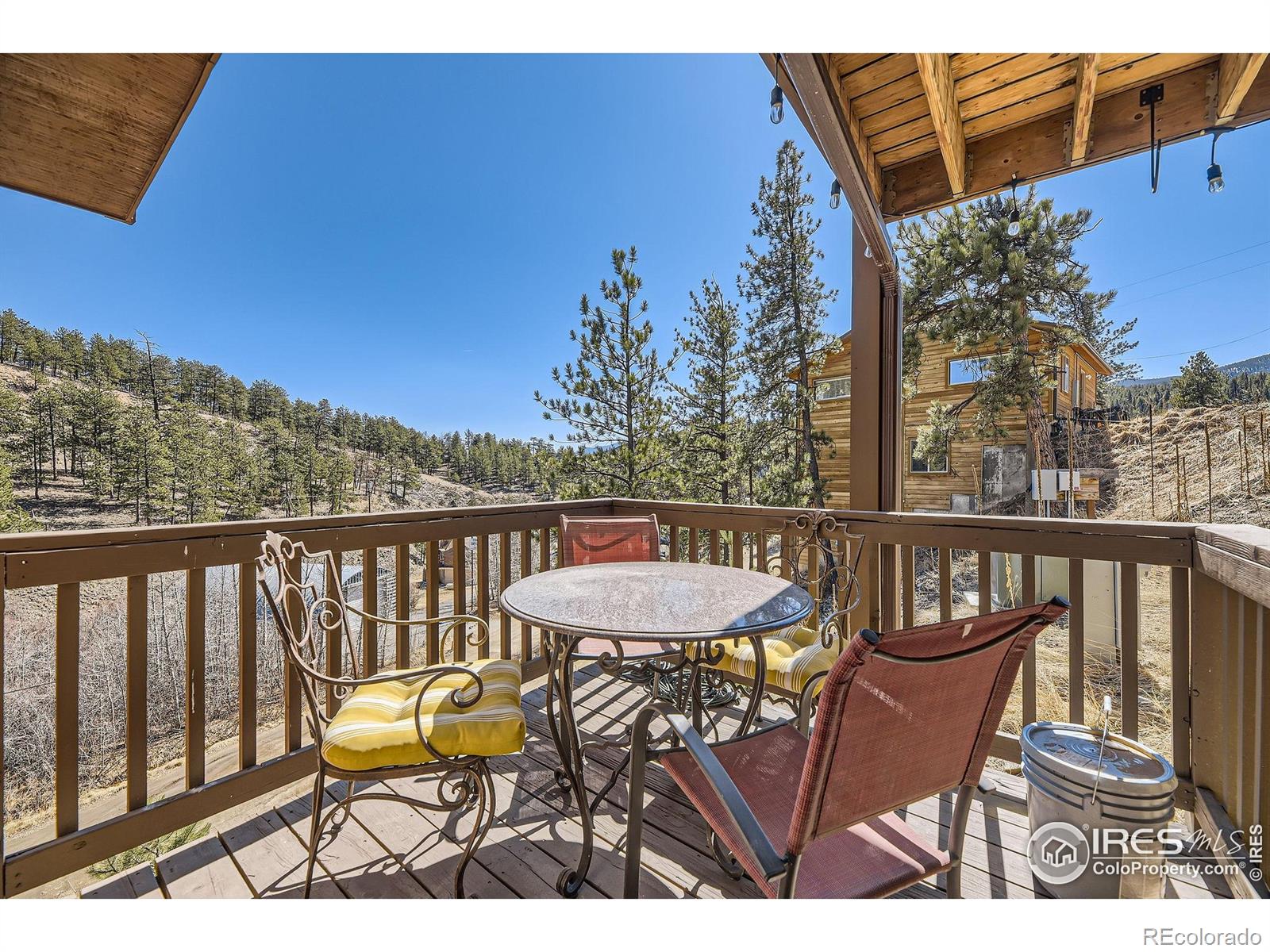 MLS Image #6 for 204  virginia road,bailey, Colorado