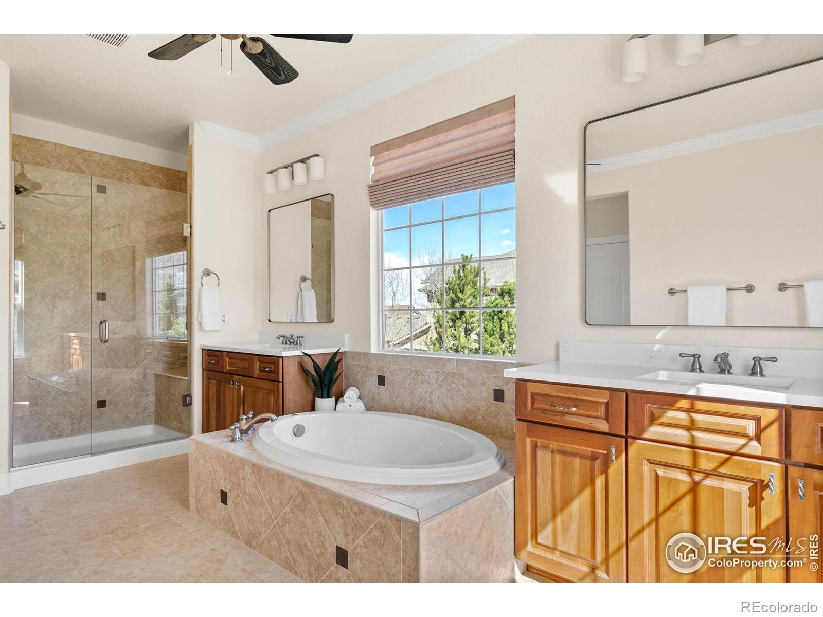 MLS Image #22 for 14958  wistera way,broomfield, Colorado