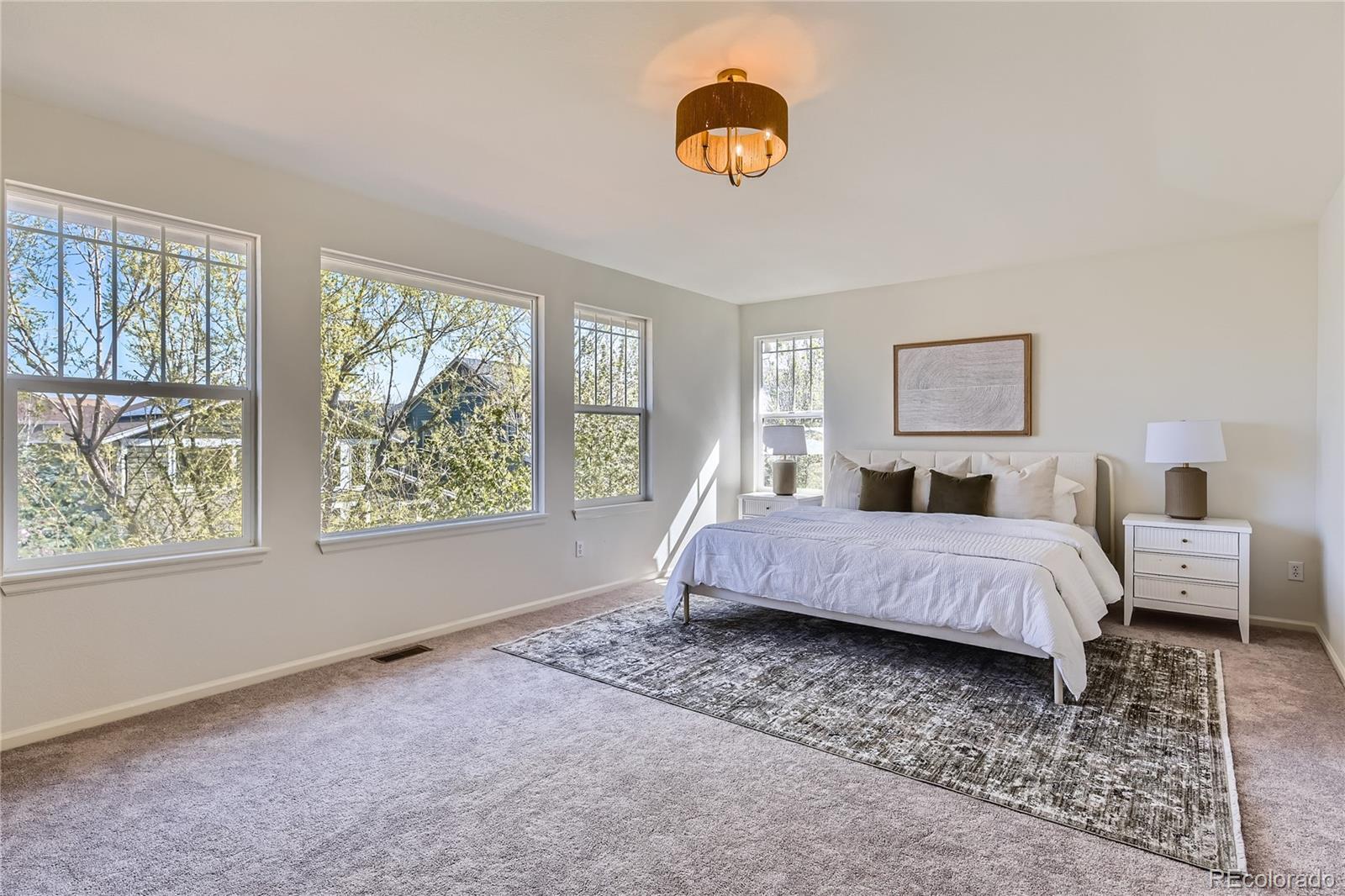 MLS Image #11 for 3466  craftsbury drive,highlands ranch, Colorado