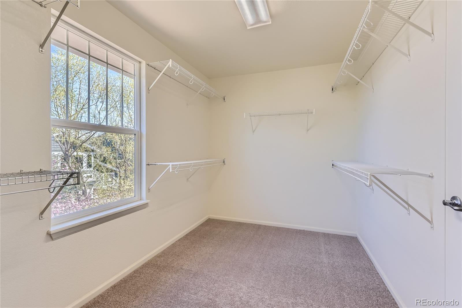 MLS Image #15 for 3466  craftsbury drive,highlands ranch, Colorado