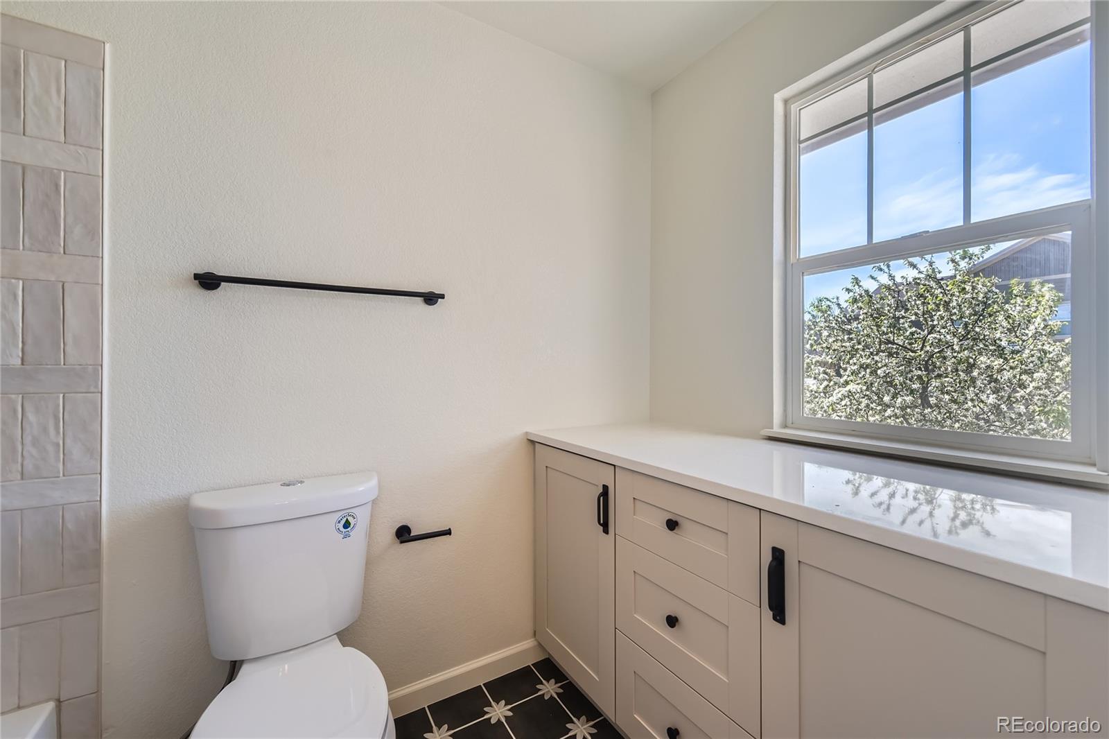 MLS Image #19 for 3466  craftsbury drive,highlands ranch, Colorado