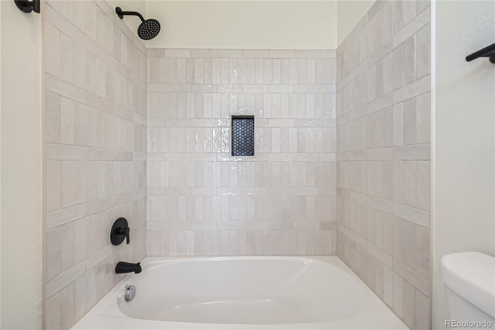MLS Image #20 for 3466  craftsbury drive,highlands ranch, Colorado