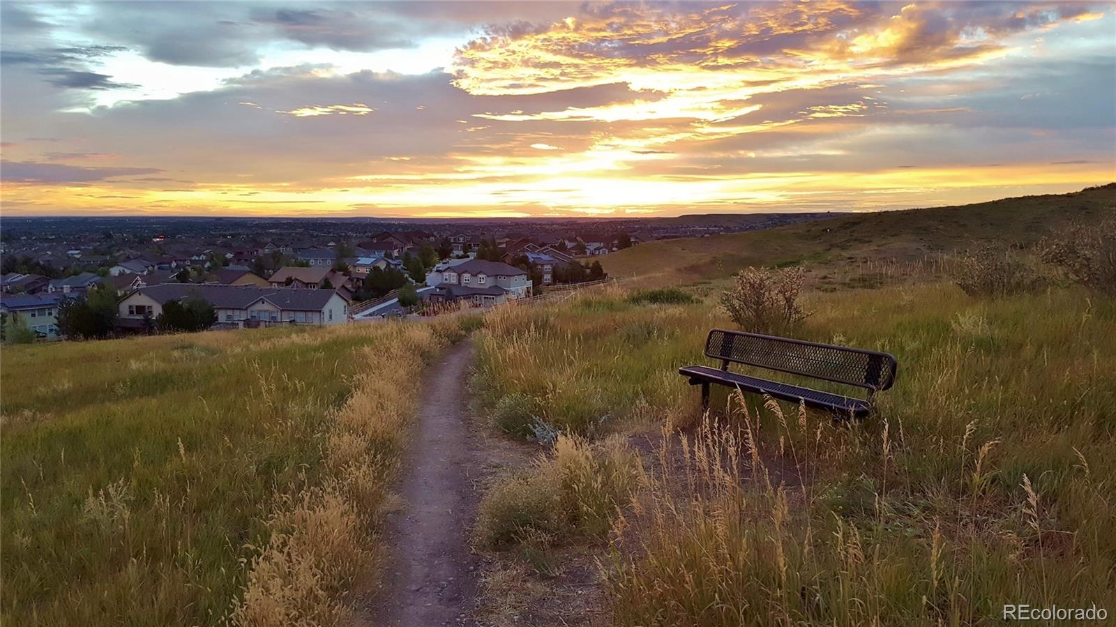 MLS Image #33 for 3466  craftsbury drive,highlands ranch, Colorado