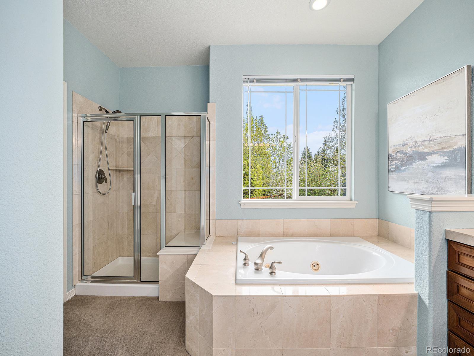 MLS Image #20 for 19379 w 57th place,golden, Colorado