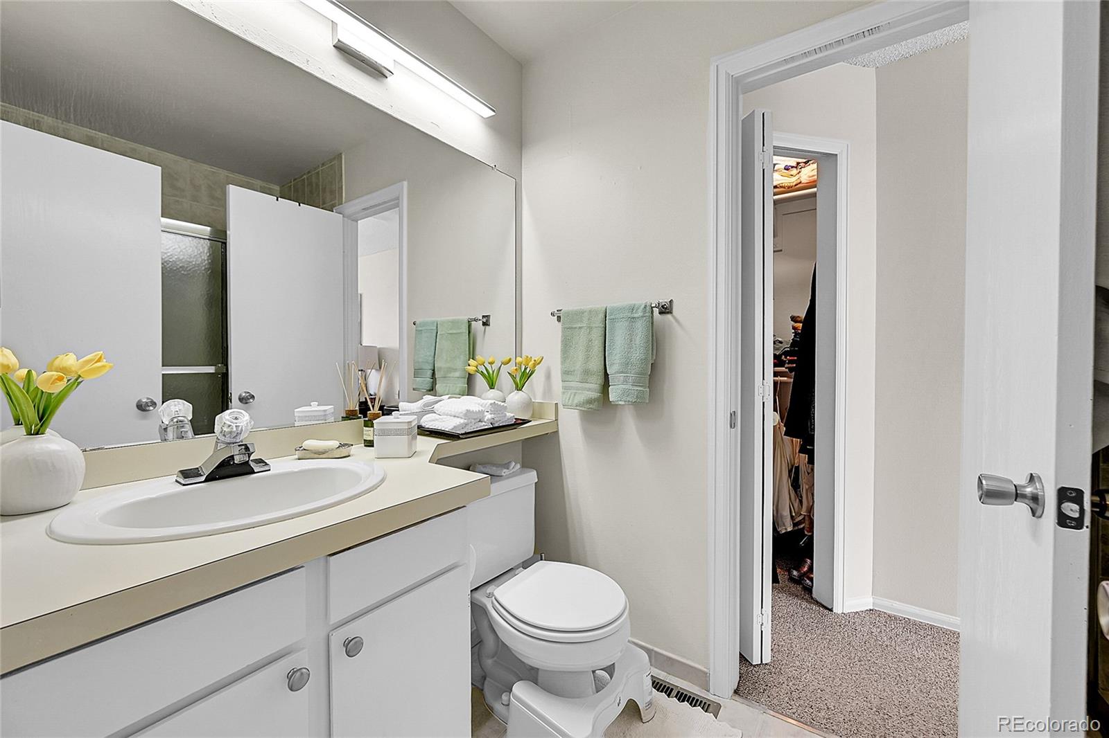 MLS Image #11 for 266 s nome street,aurora, Colorado