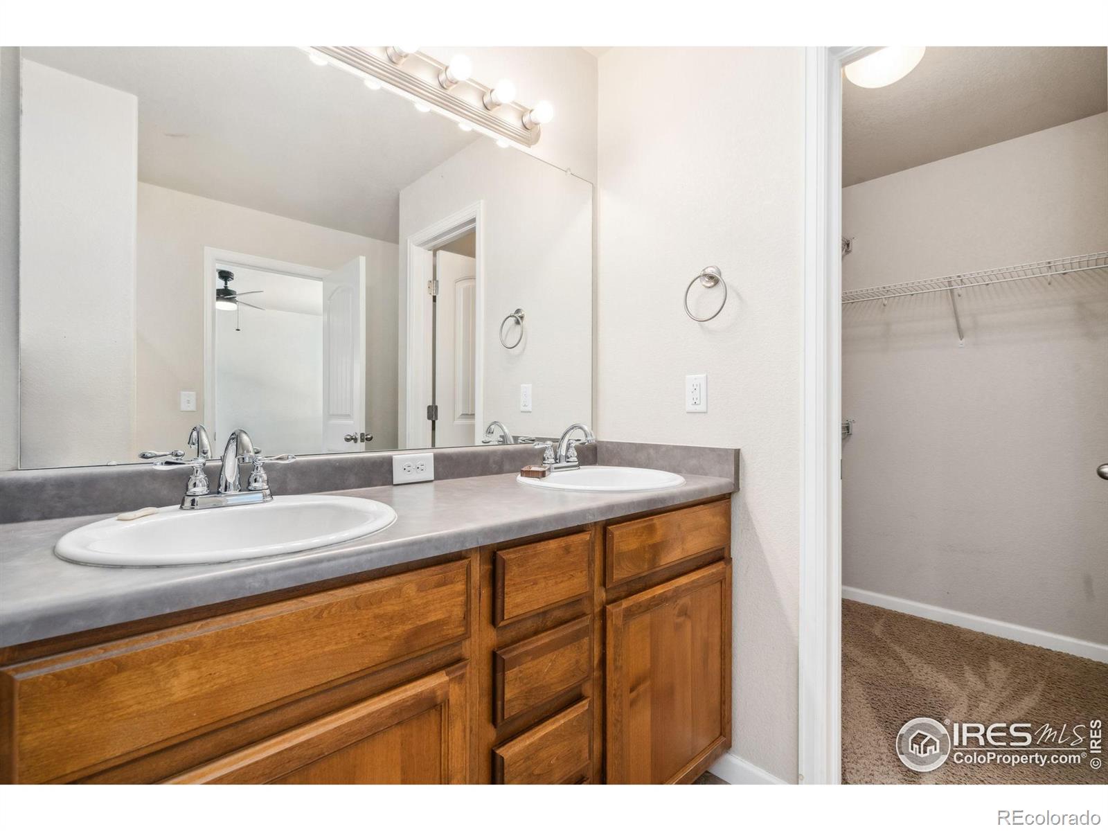 MLS Image #18 for 950  delphinus place,loveland, Colorado