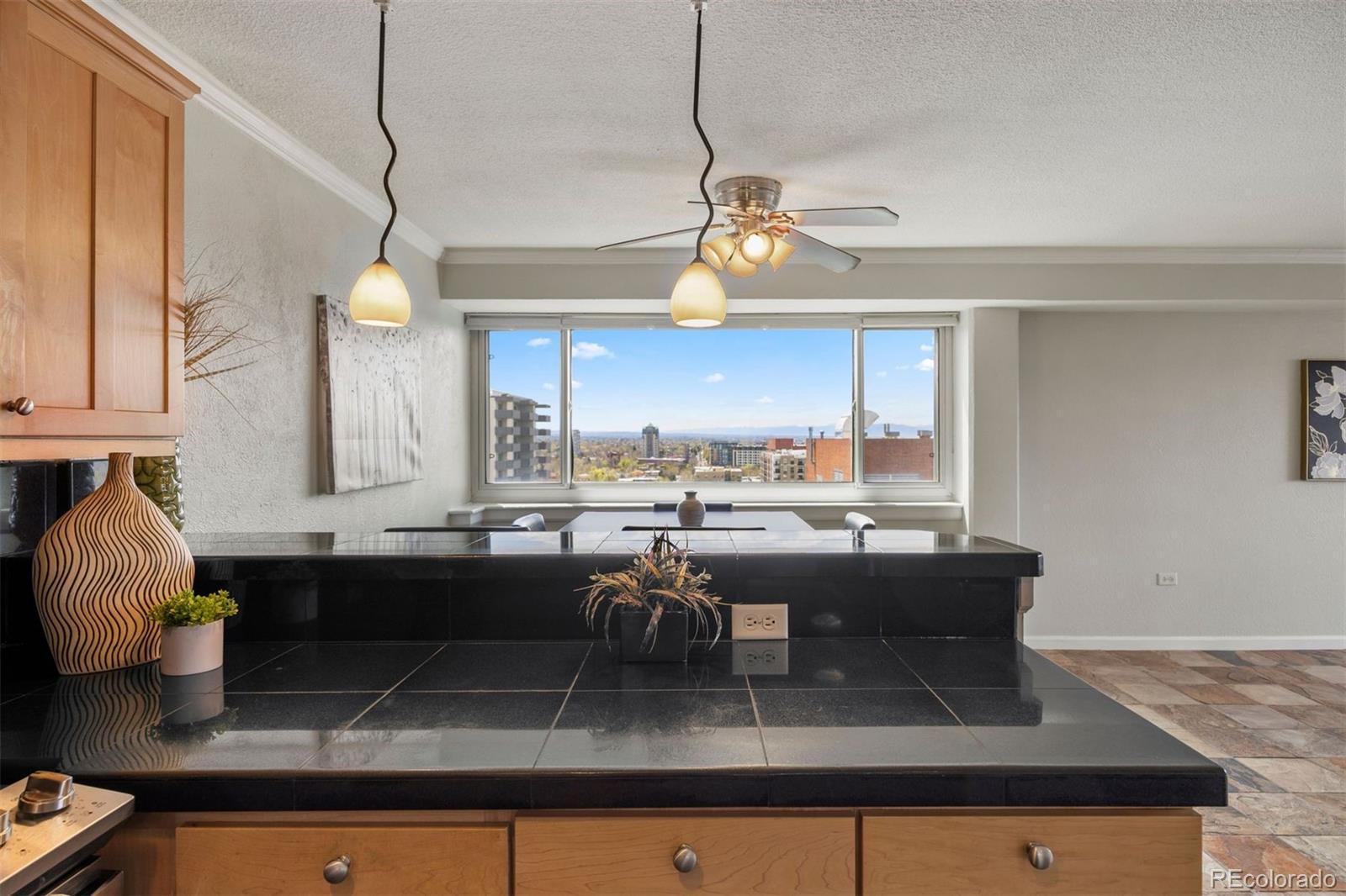 MLS Image #9 for 909 n logan street,denver, Colorado