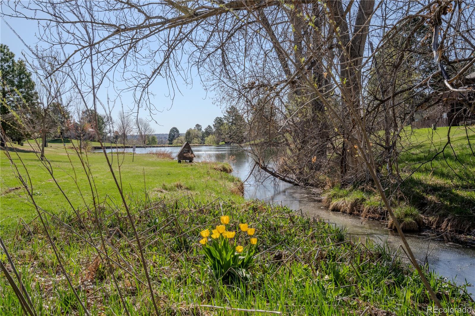 MLS Image #26 for 4323 w ponds circle,littleton, Colorado