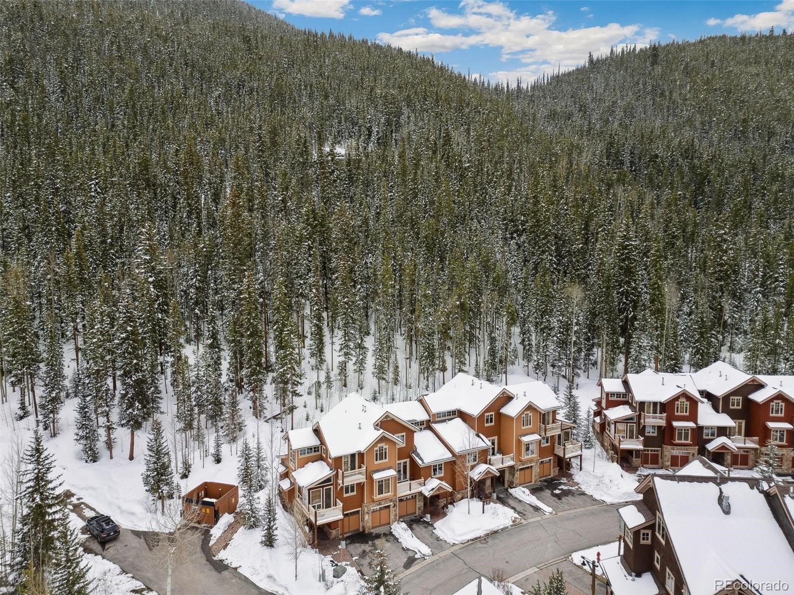MLS Image #30 for 129  tip top trail,dillon, Colorado