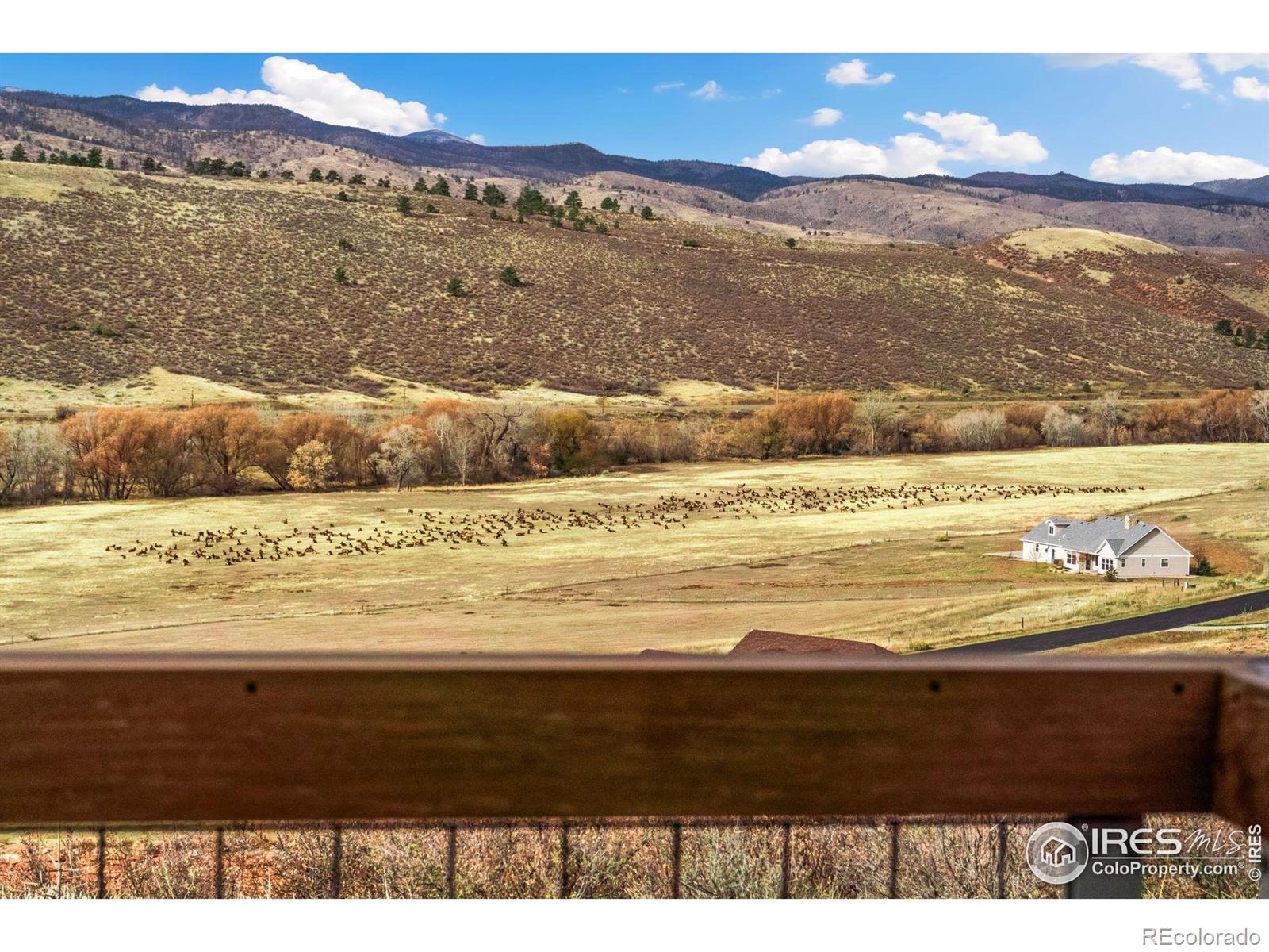 MLS Image #38 for 9715  running brook lane,loveland, Colorado