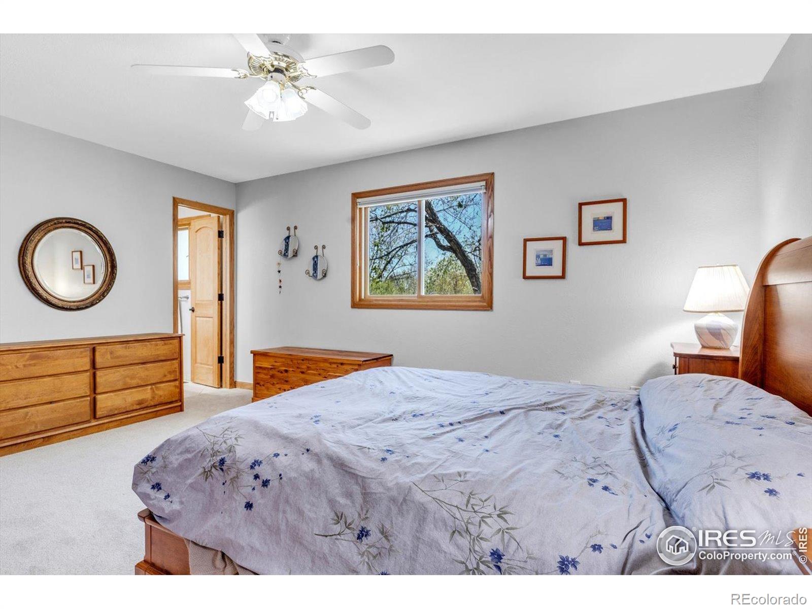 MLS Image #10 for 601  candice court,berthoud, Colorado