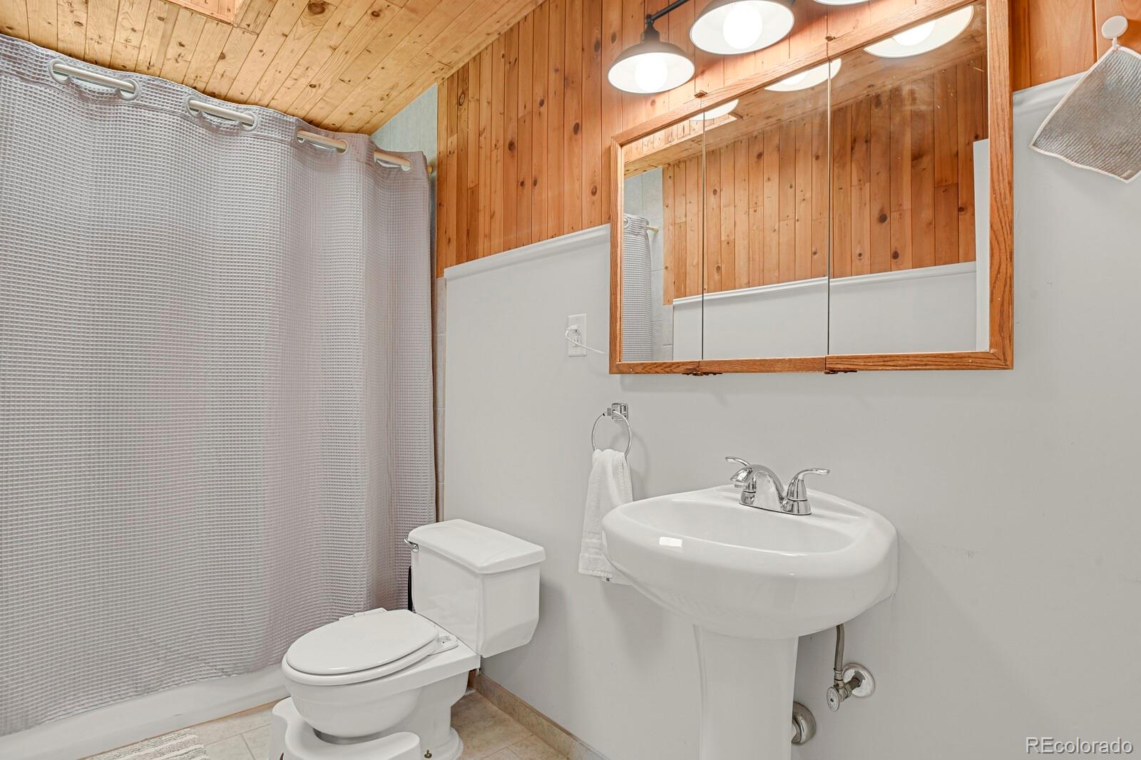 MLS Image #12 for 784 w sterne parkway,littleton, Colorado