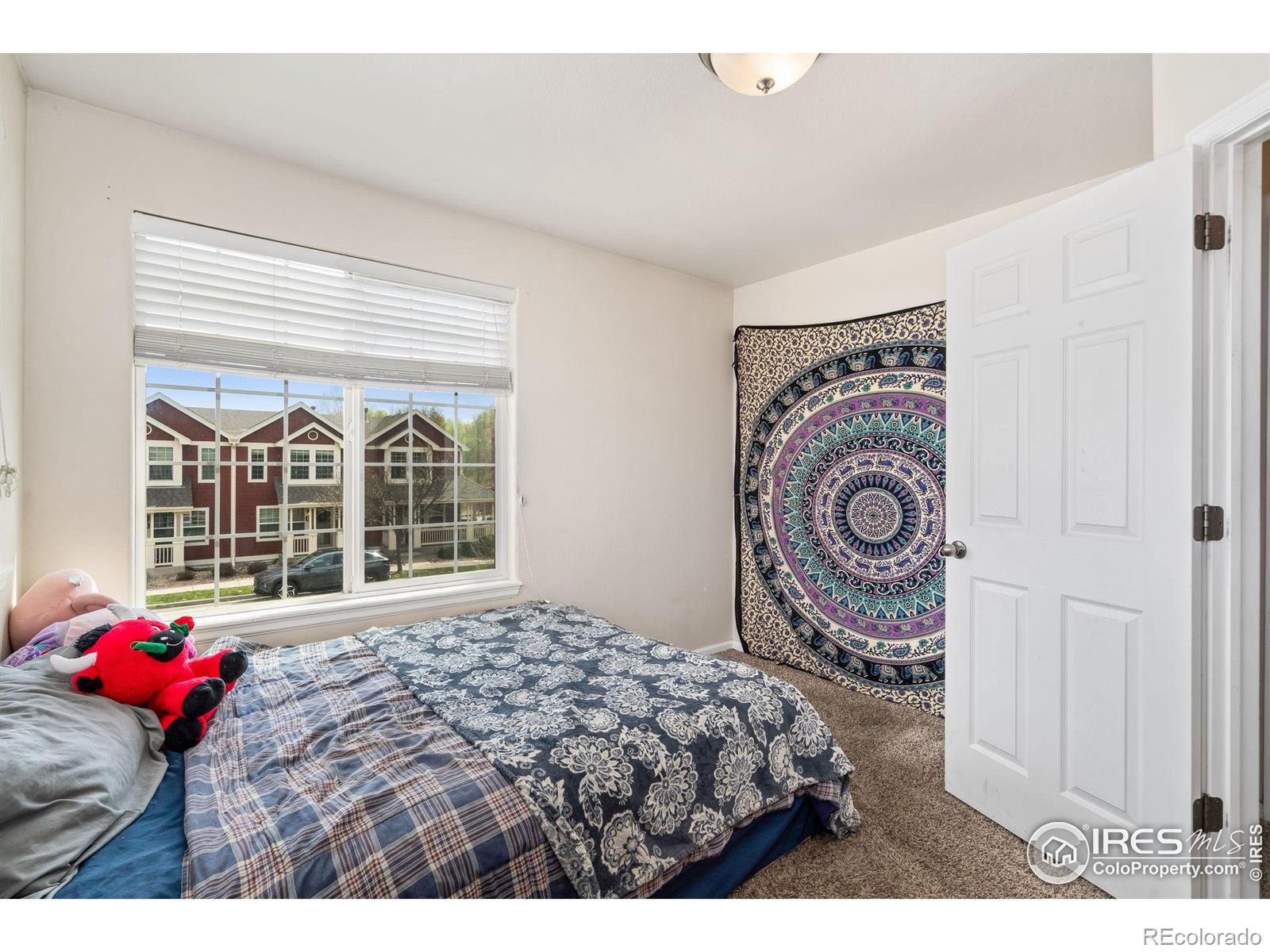 MLS Image #14 for 1602  robertson street,fort collins, Colorado
