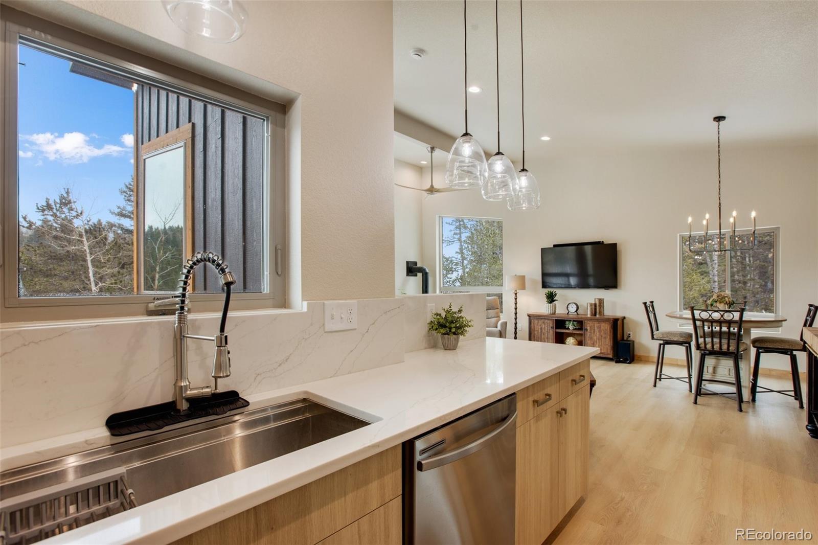 MLS Image #11 for 124  kernite lane,divide, Colorado