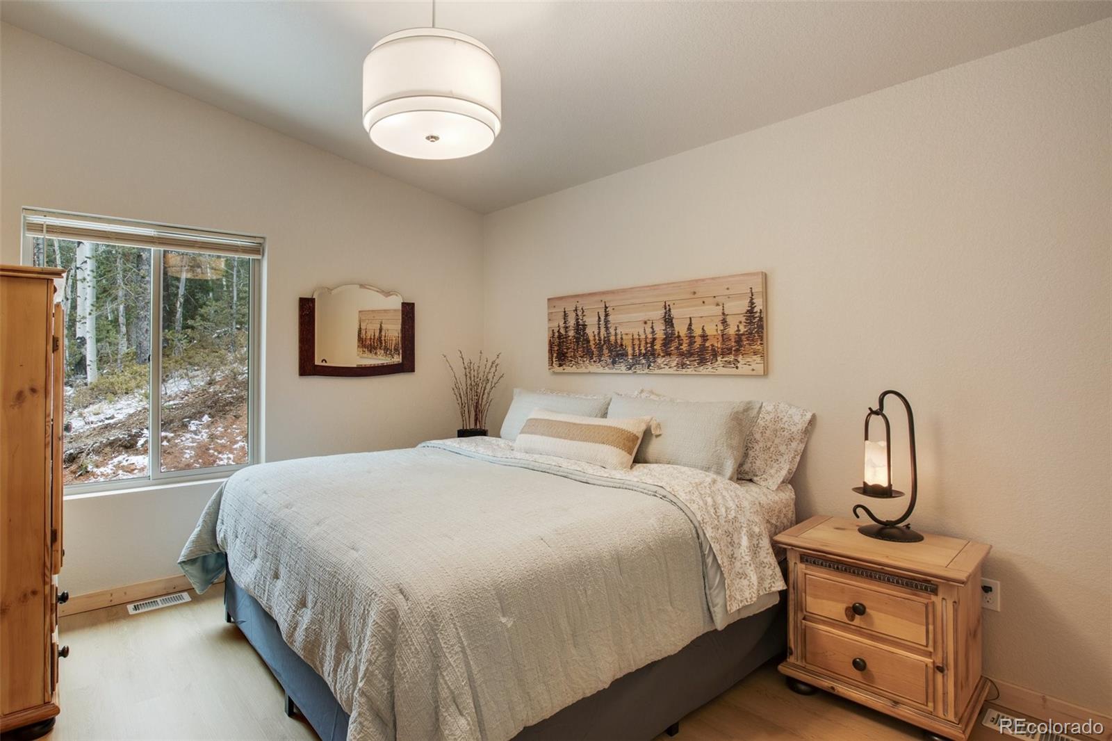 MLS Image #12 for 124  kernite lane,divide, Colorado