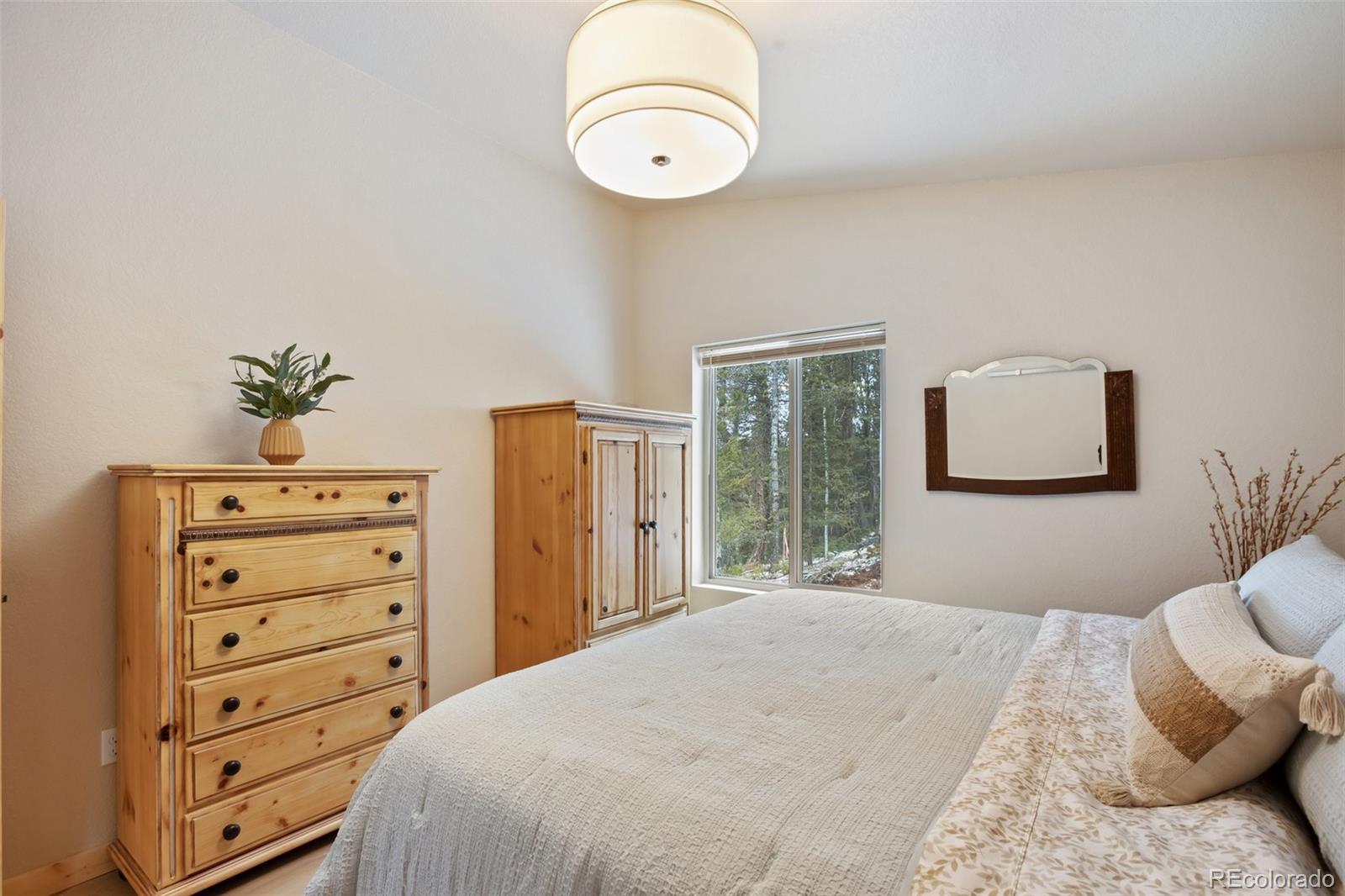 MLS Image #13 for 124  kernite lane,divide, Colorado