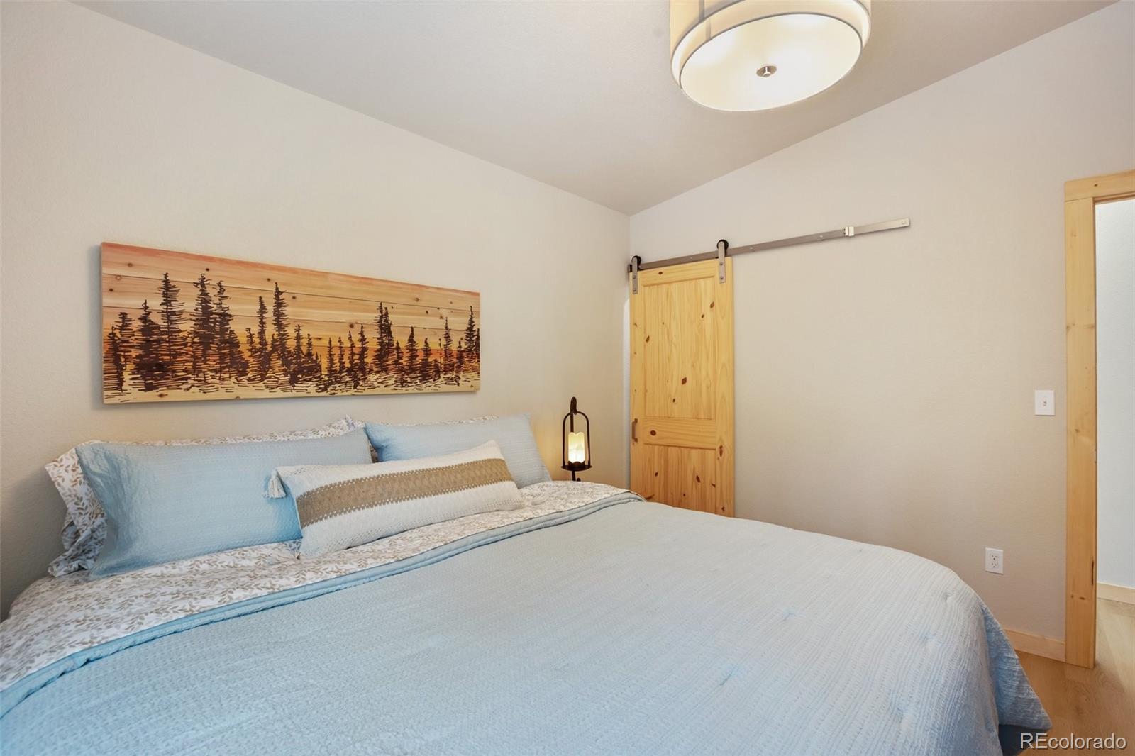 MLS Image #14 for 124  kernite lane,divide, Colorado