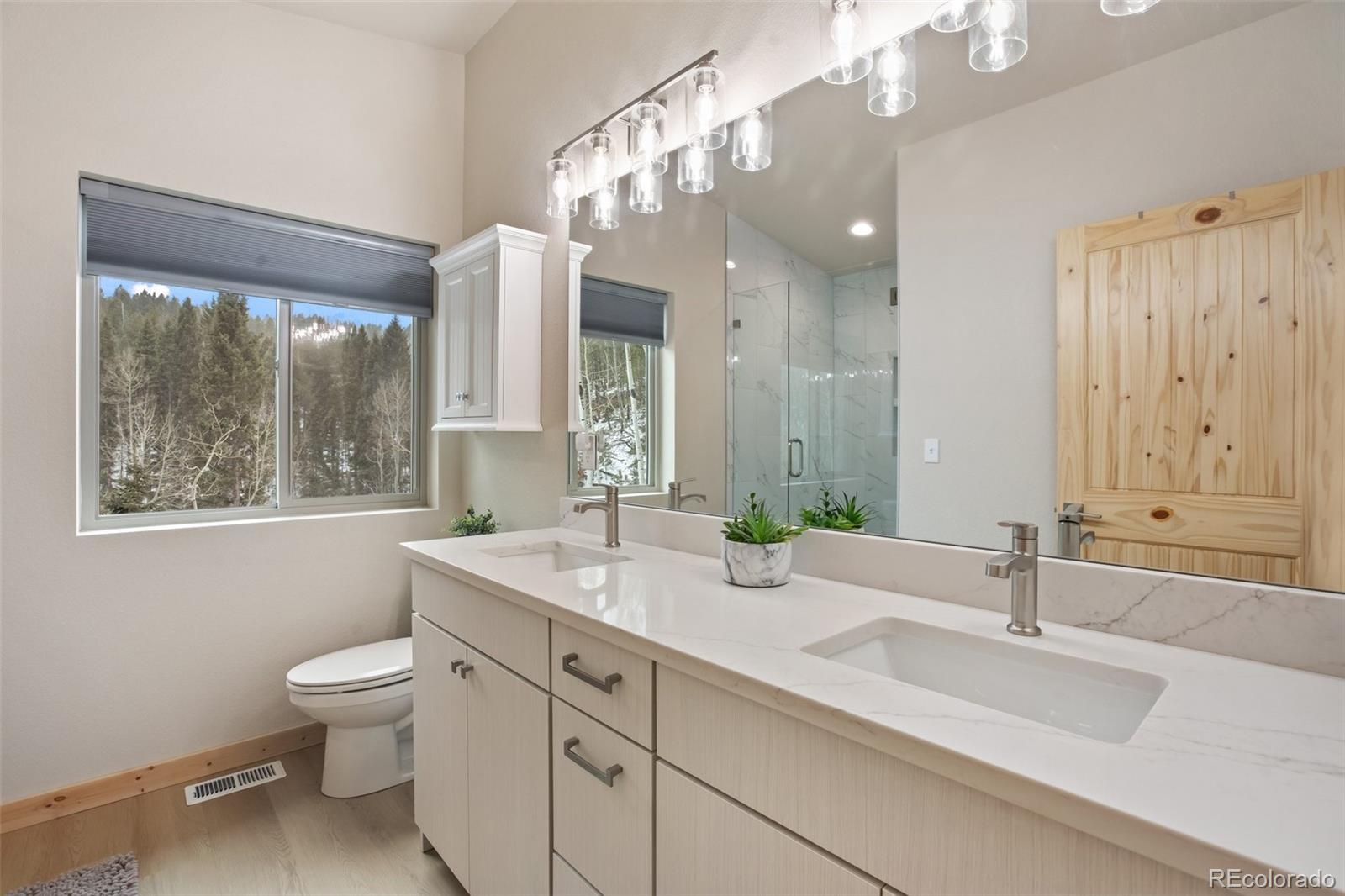 MLS Image #16 for 124  kernite lane,divide, Colorado