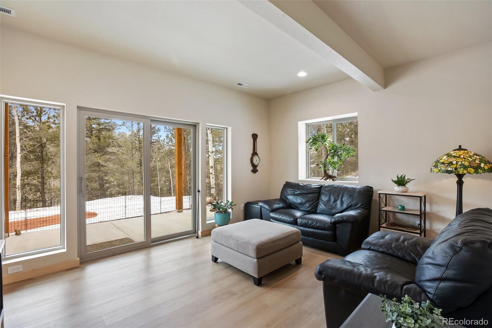MLS Image #18 for 124  kernite lane,divide, Colorado