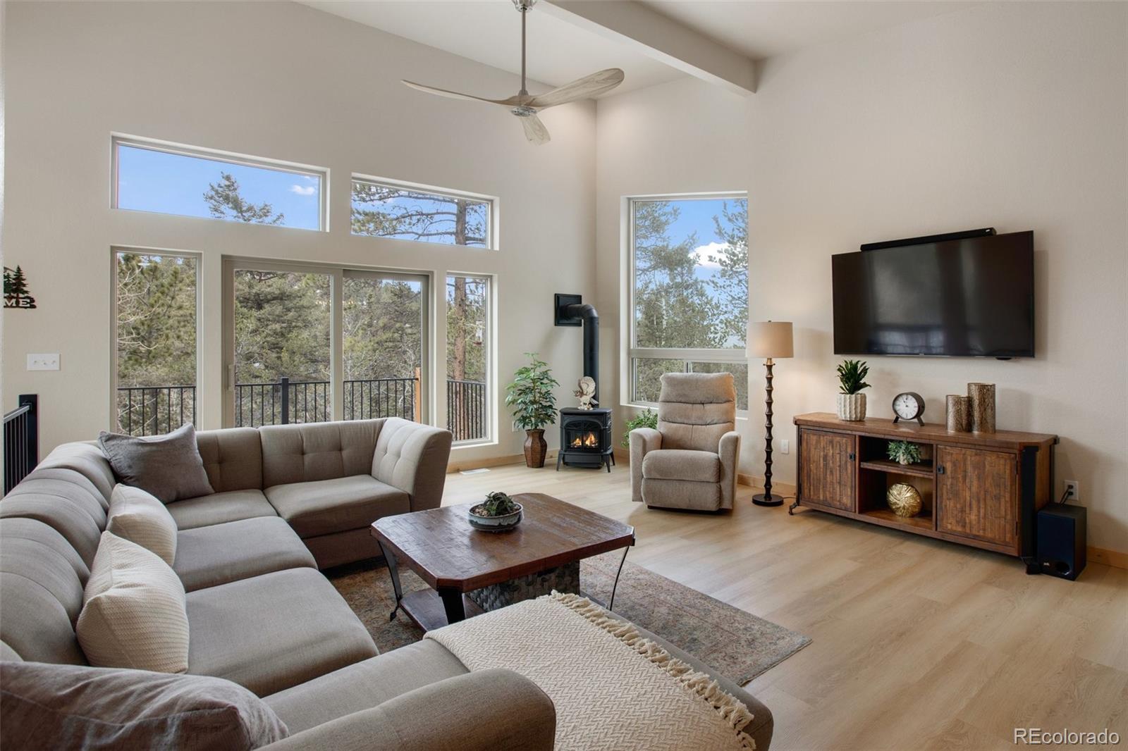 MLS Image #2 for 124  kernite lane,divide, Colorado