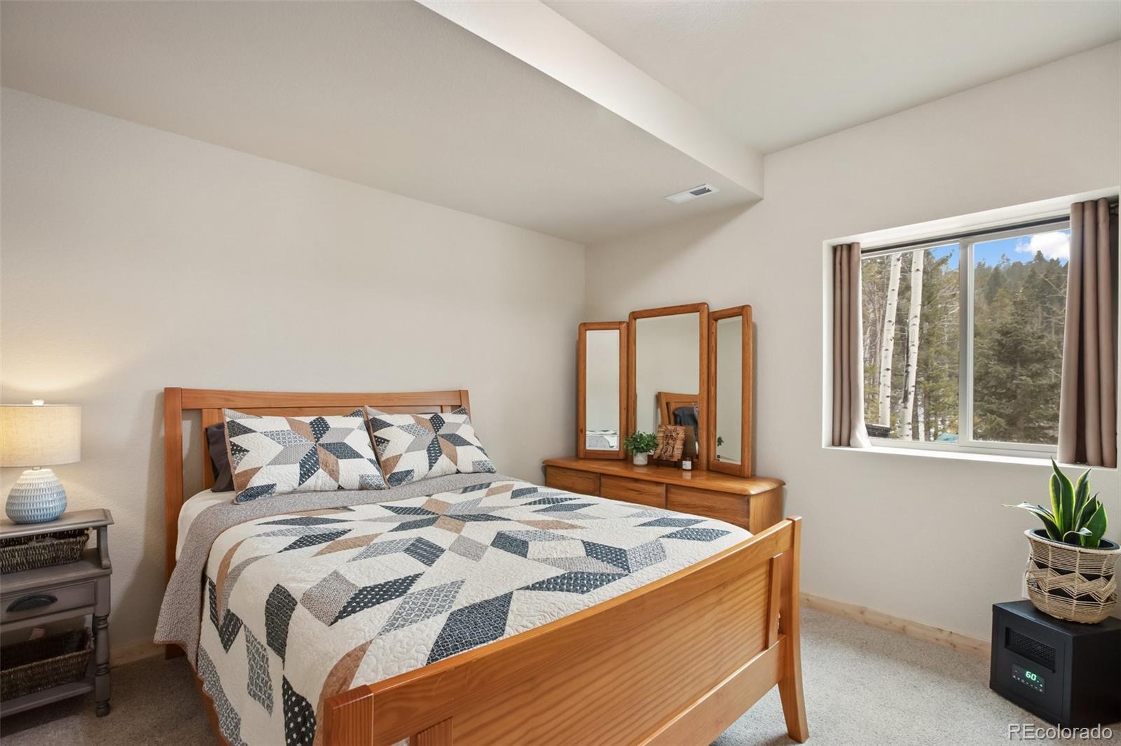MLS Image #21 for 124  kernite lane,divide, Colorado