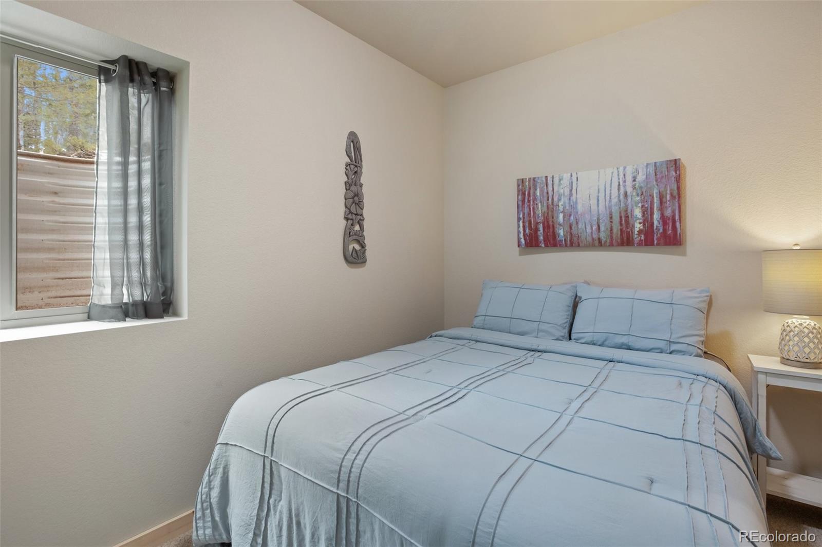 MLS Image #24 for 124  kernite lane,divide, Colorado