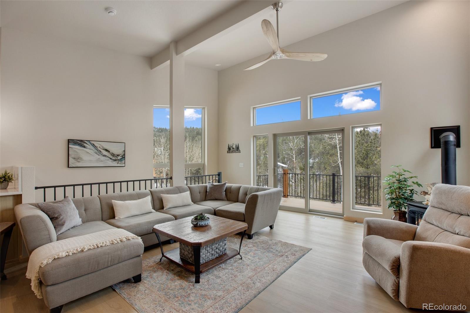 MLS Image #3 for 124  kernite lane,divide, Colorado