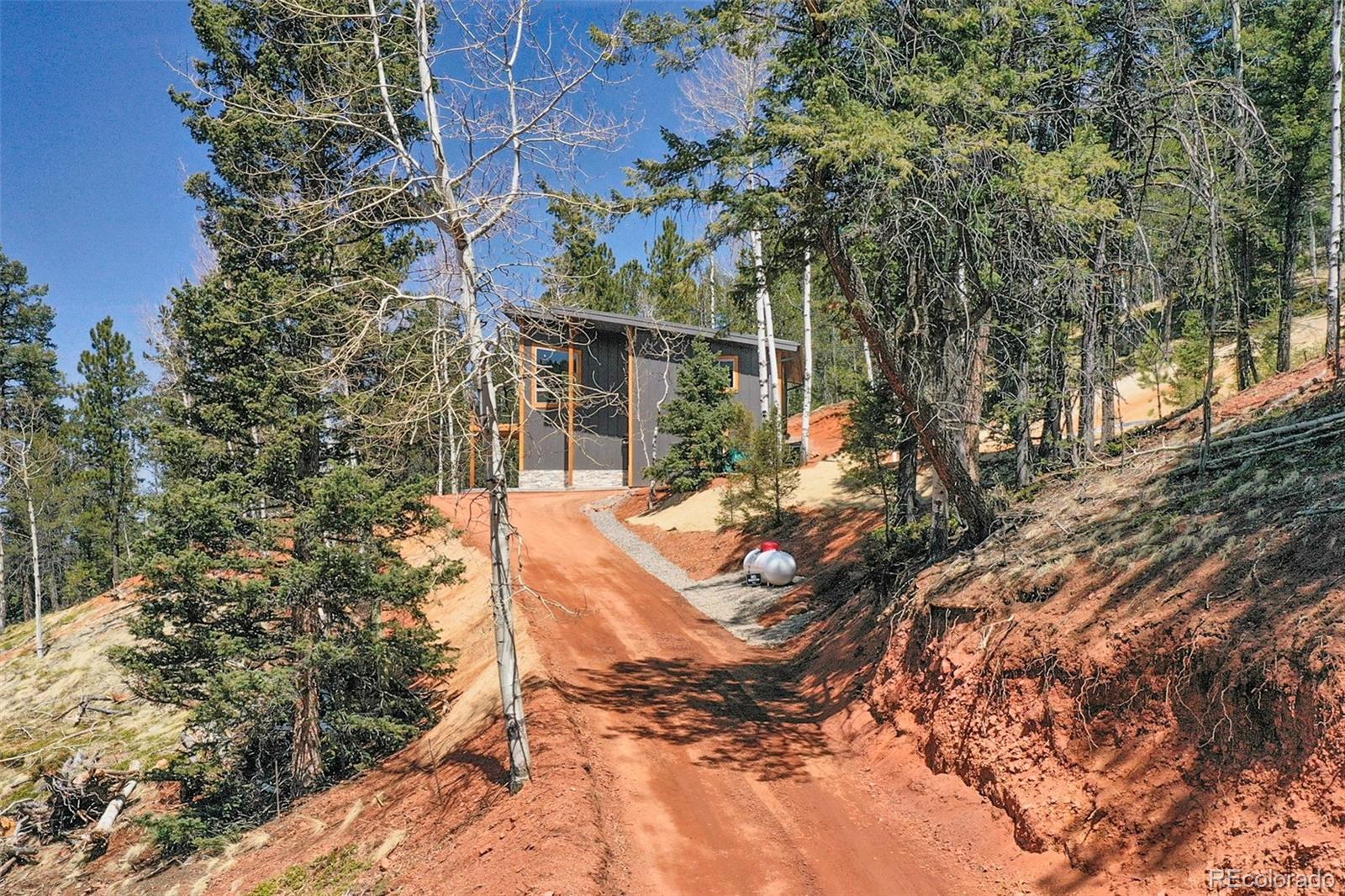 MLS Image #30 for 124  kernite lane,divide, Colorado