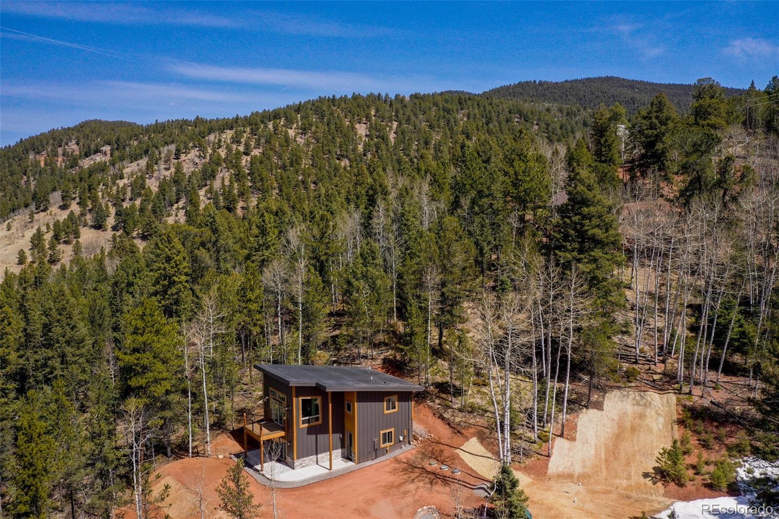 MLS Image #33 for 124  kernite lane,divide, Colorado