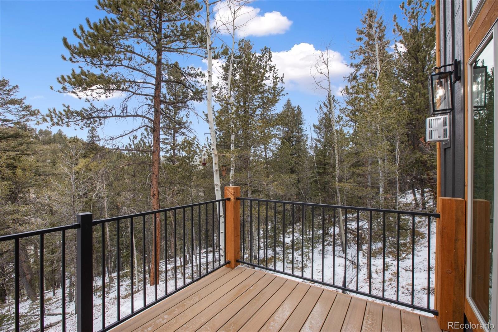 MLS Image #4 for 124  kernite lane,divide, Colorado