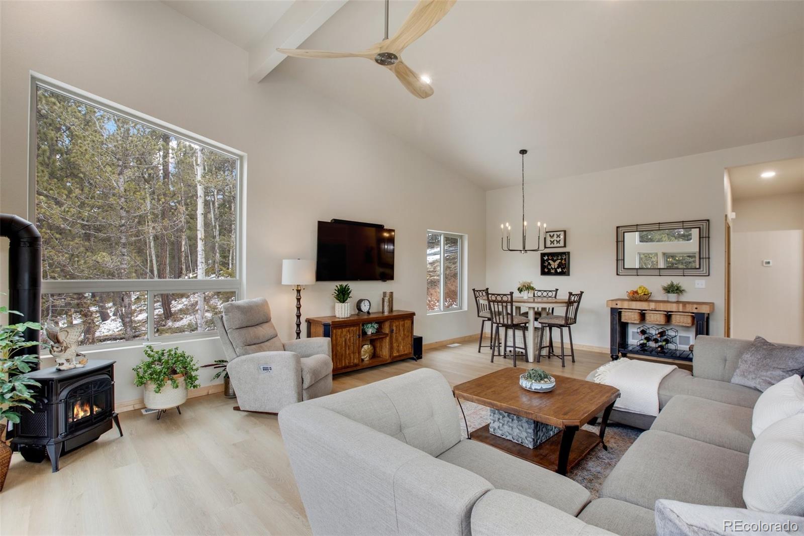 MLS Image #5 for 124  kernite lane,divide, Colorado