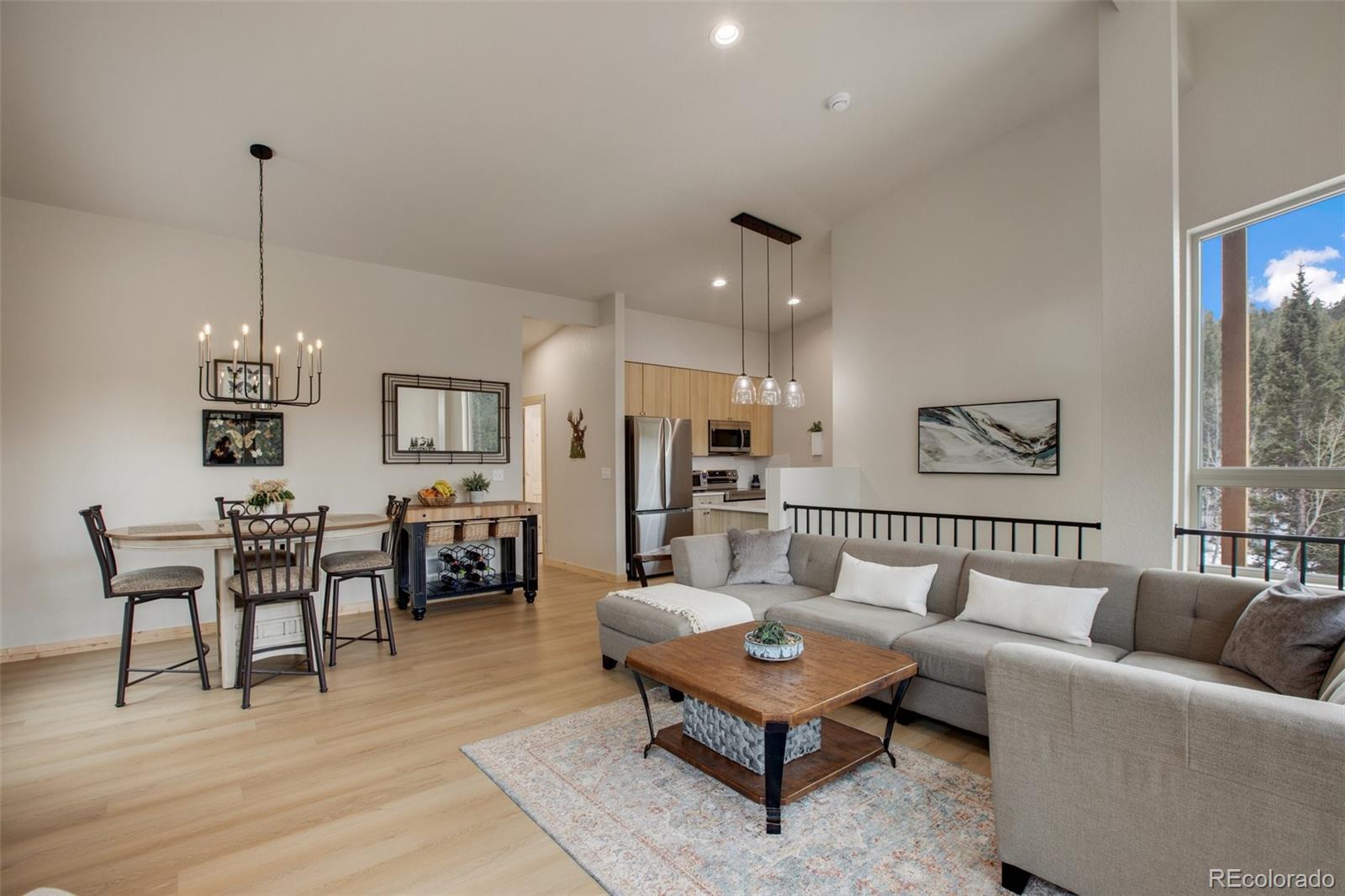 MLS Image #6 for 124  kernite lane,divide, Colorado