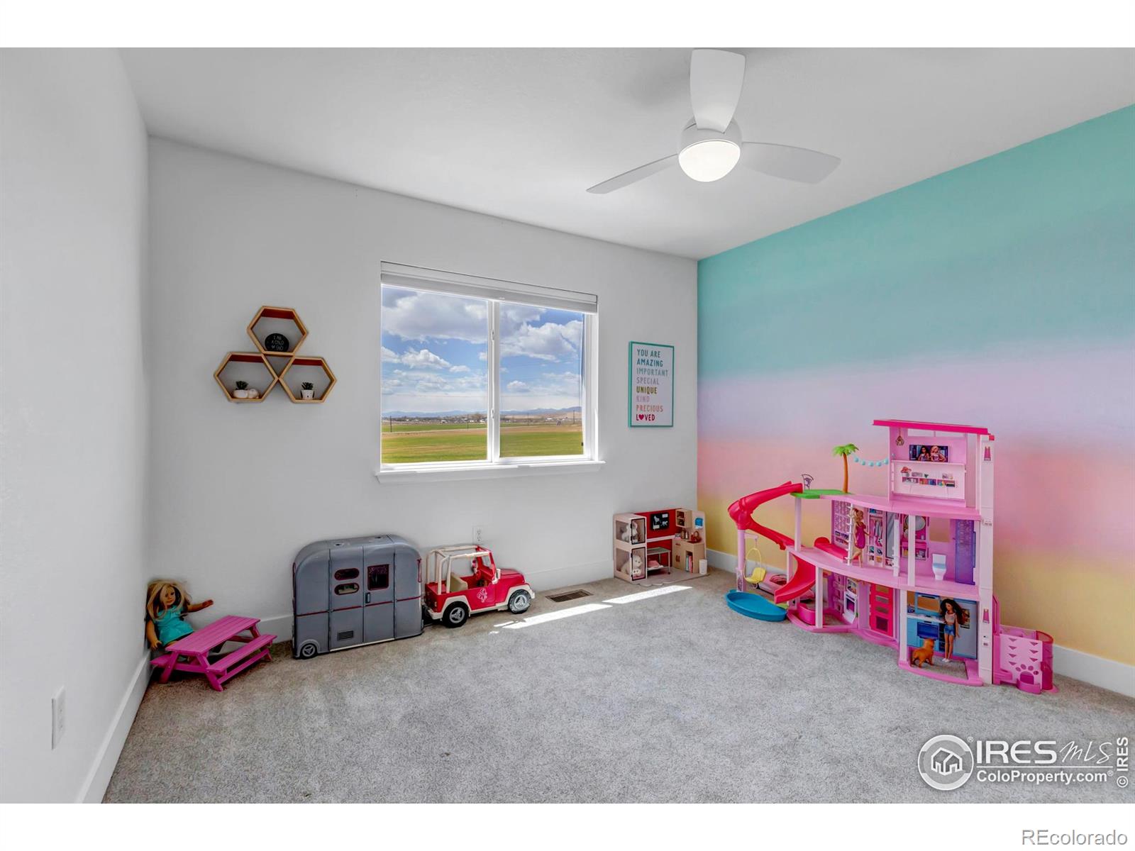 MLS Image #25 for 4577  sedona lane,dacono, Colorado