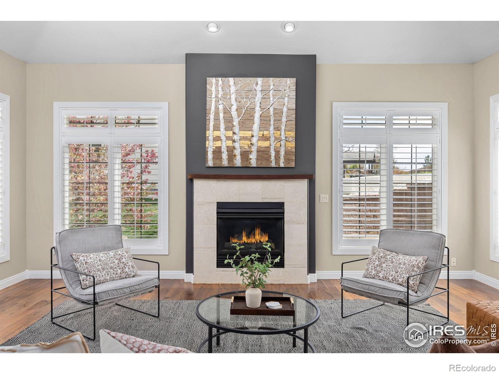 MLS Image #17 for 895  owl grove place,loveland, Colorado