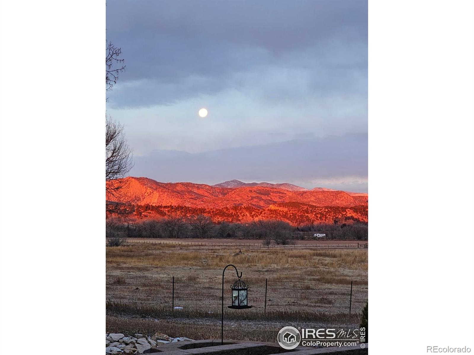 MLS Image #3 for 895  owl grove place,loveland, Colorado