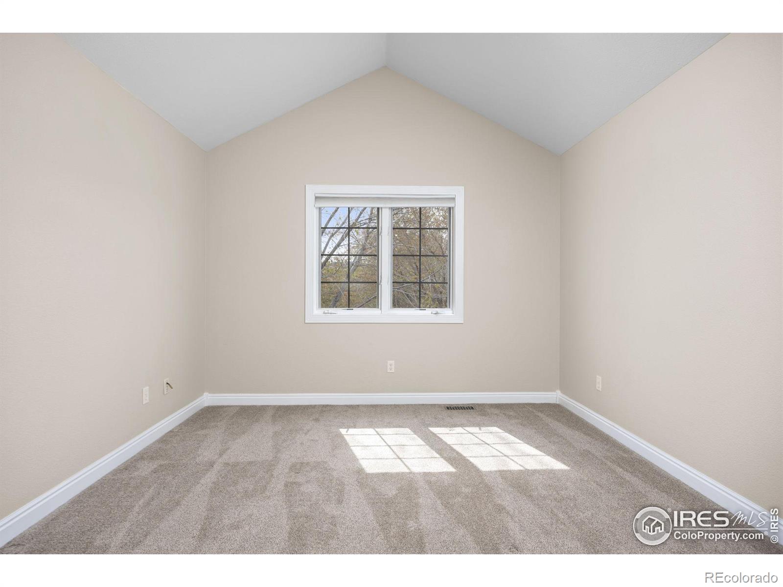 MLS Image #31 for 895  owl grove place,loveland, Colorado