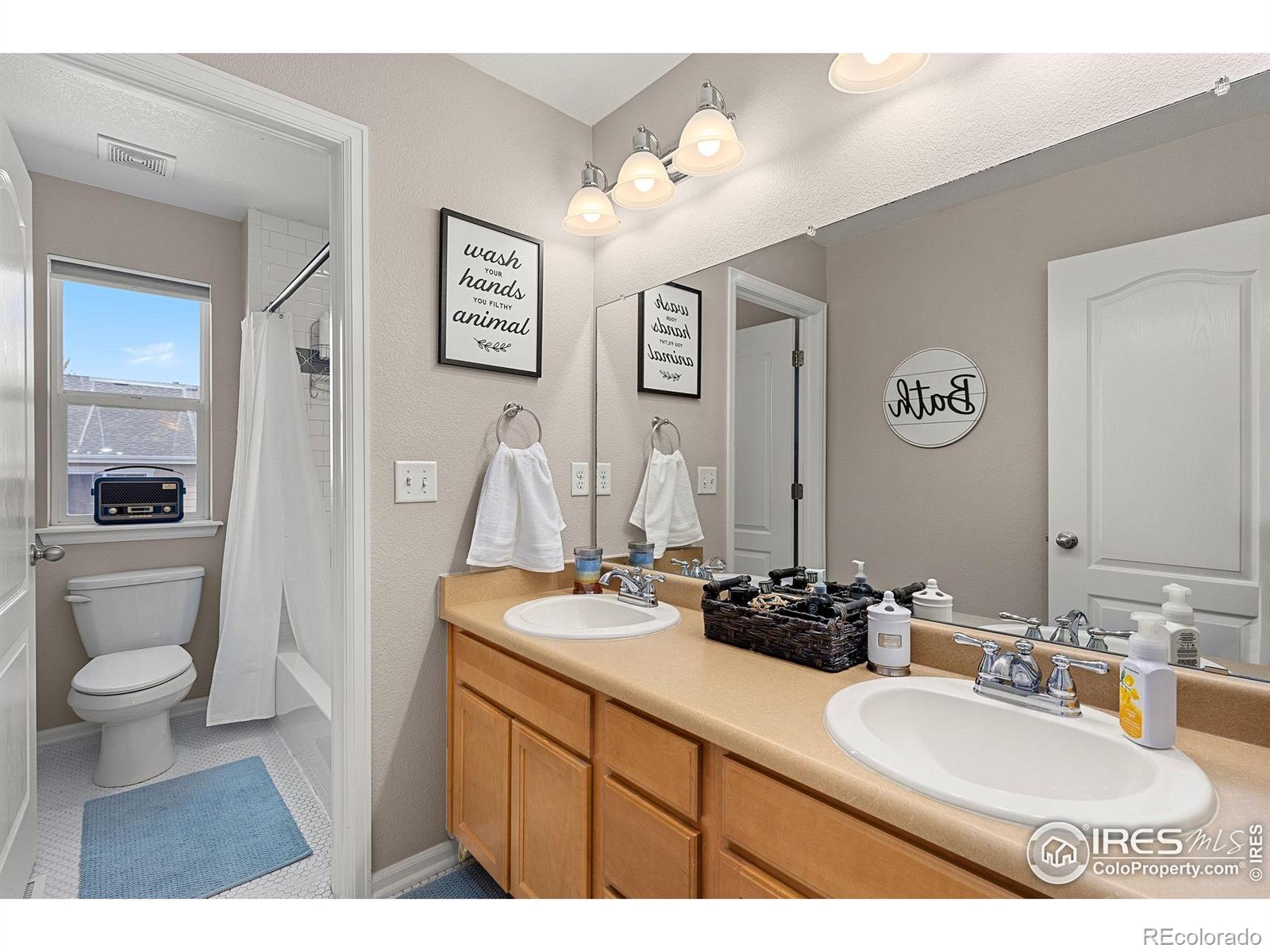 MLS Image #14 for 4737  sandy ridge avenue,firestone, Colorado