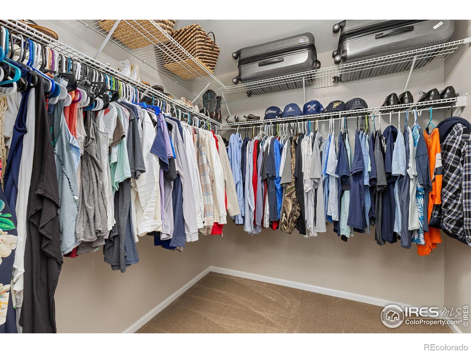 MLS Image #22 for 4737  sandy ridge avenue,firestone, Colorado