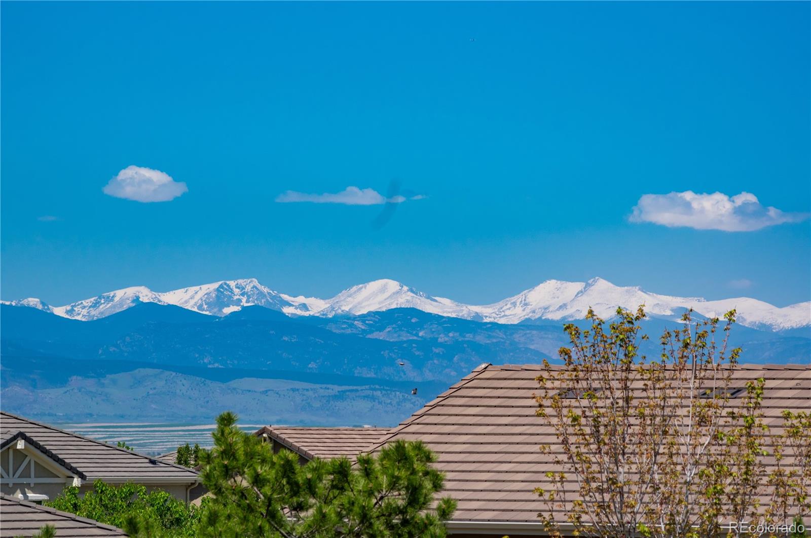 MLS Image #40 for 16549  prospect lane,broomfield, Colorado