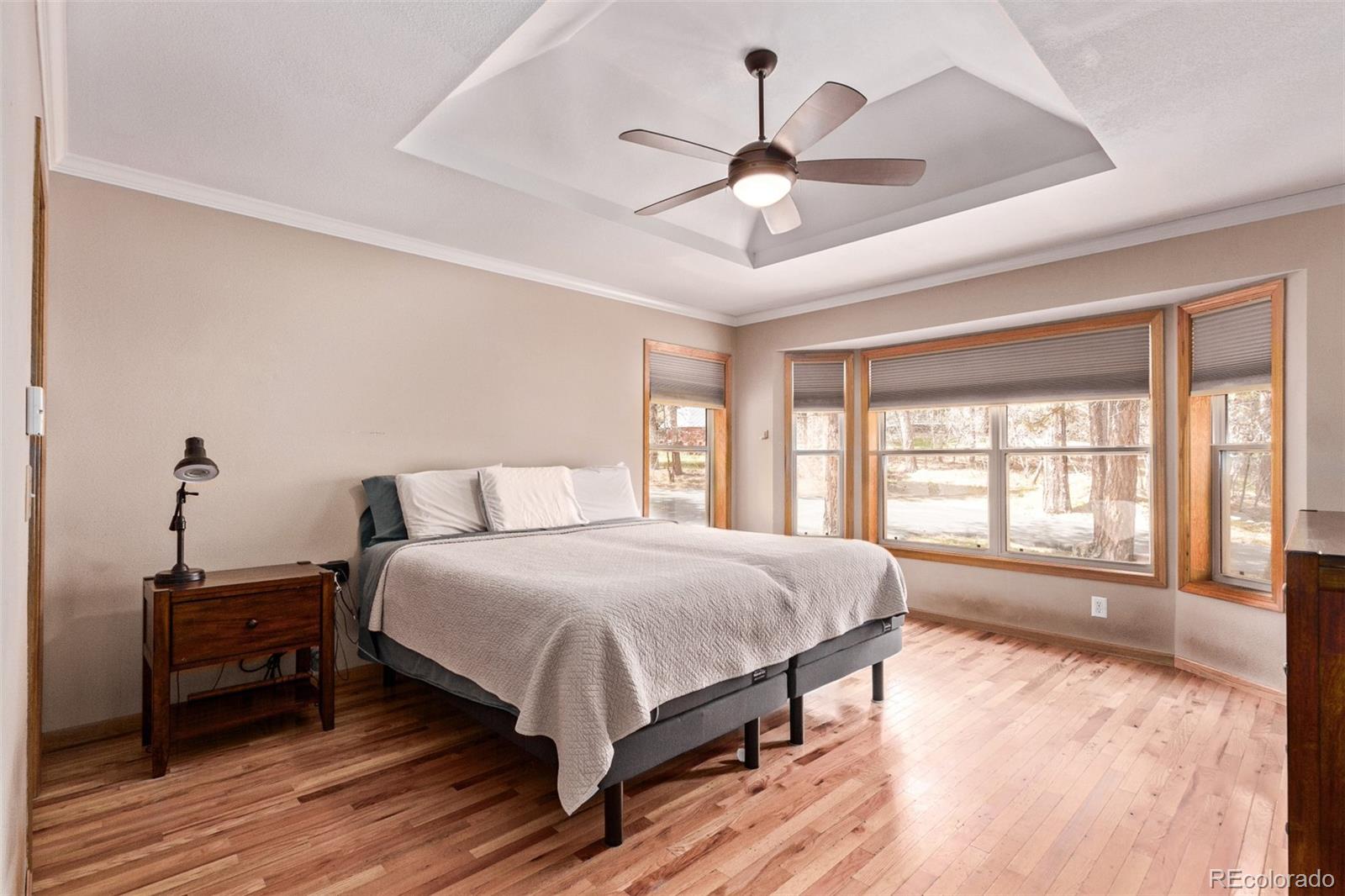 MLS Image #12 for 1150  fremont drive,larkspur, Colorado