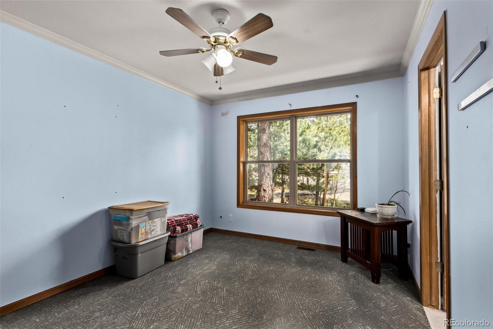 MLS Image #29 for 1150  fremont drive,larkspur, Colorado