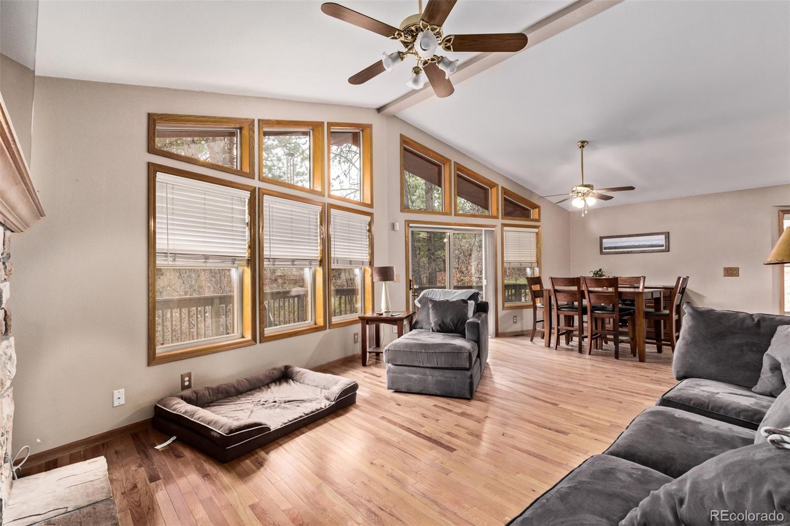 MLS Image #4 for 1150  fremont drive,larkspur, Colorado