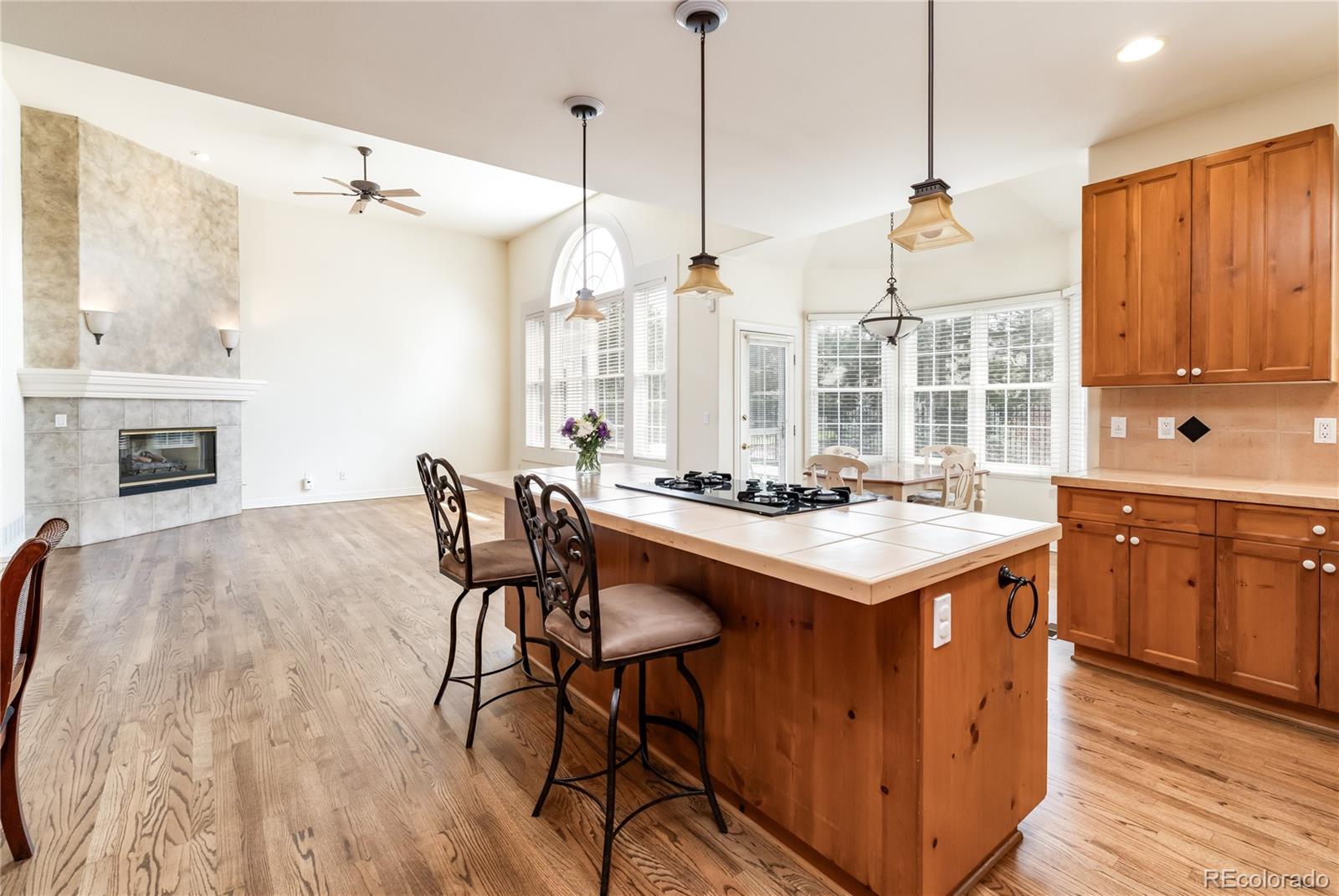 MLS Image #10 for 6271 s billings way,centennial, Colorado