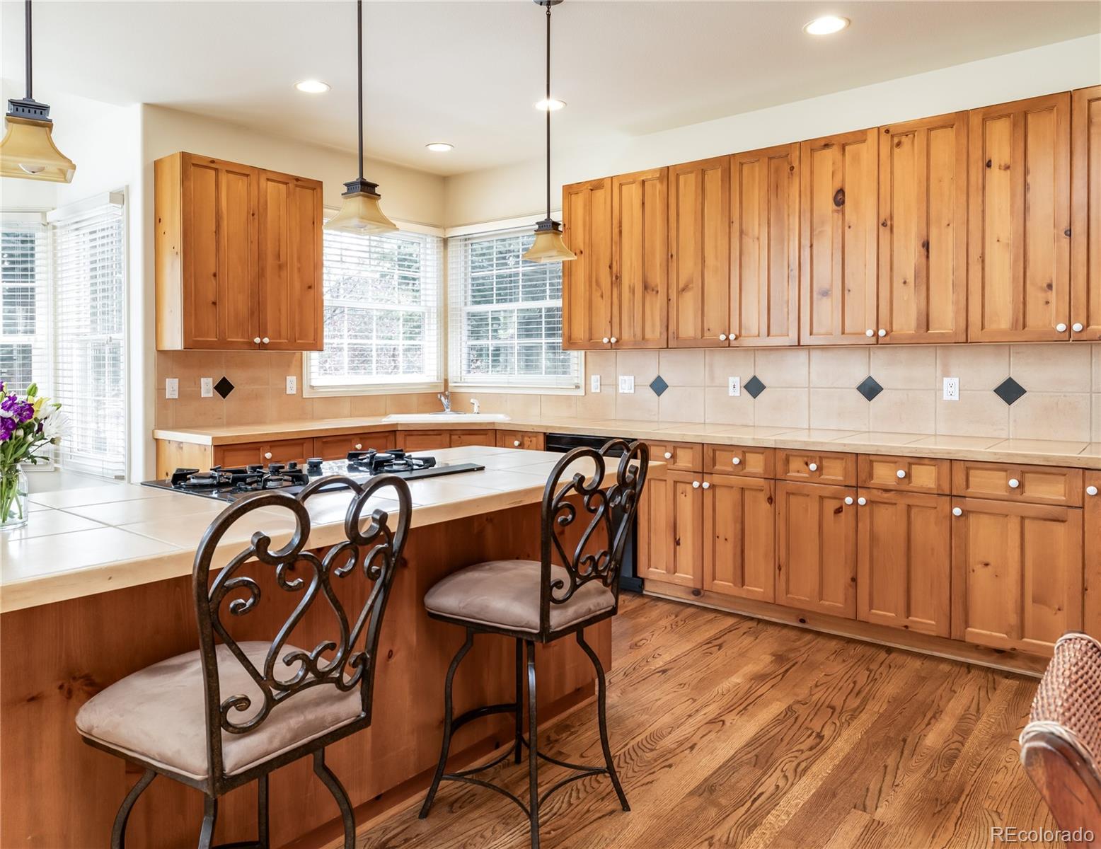 MLS Image #11 for 6271 s billings way,centennial, Colorado