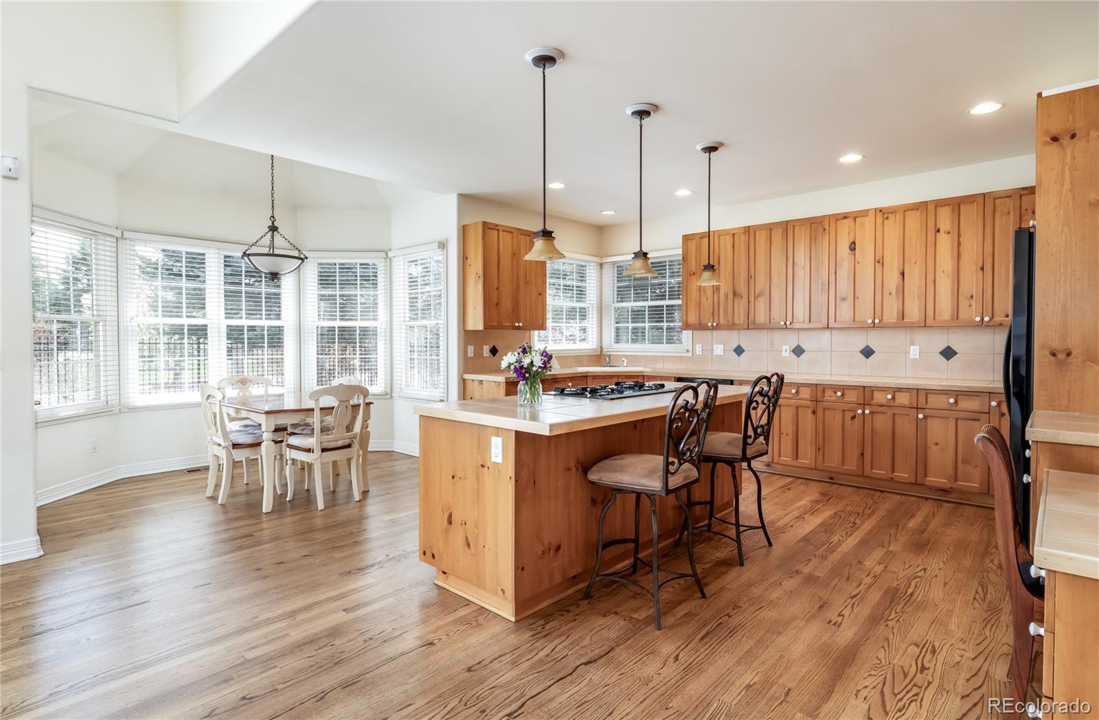 MLS Image #12 for 6271 s billings way,centennial, Colorado