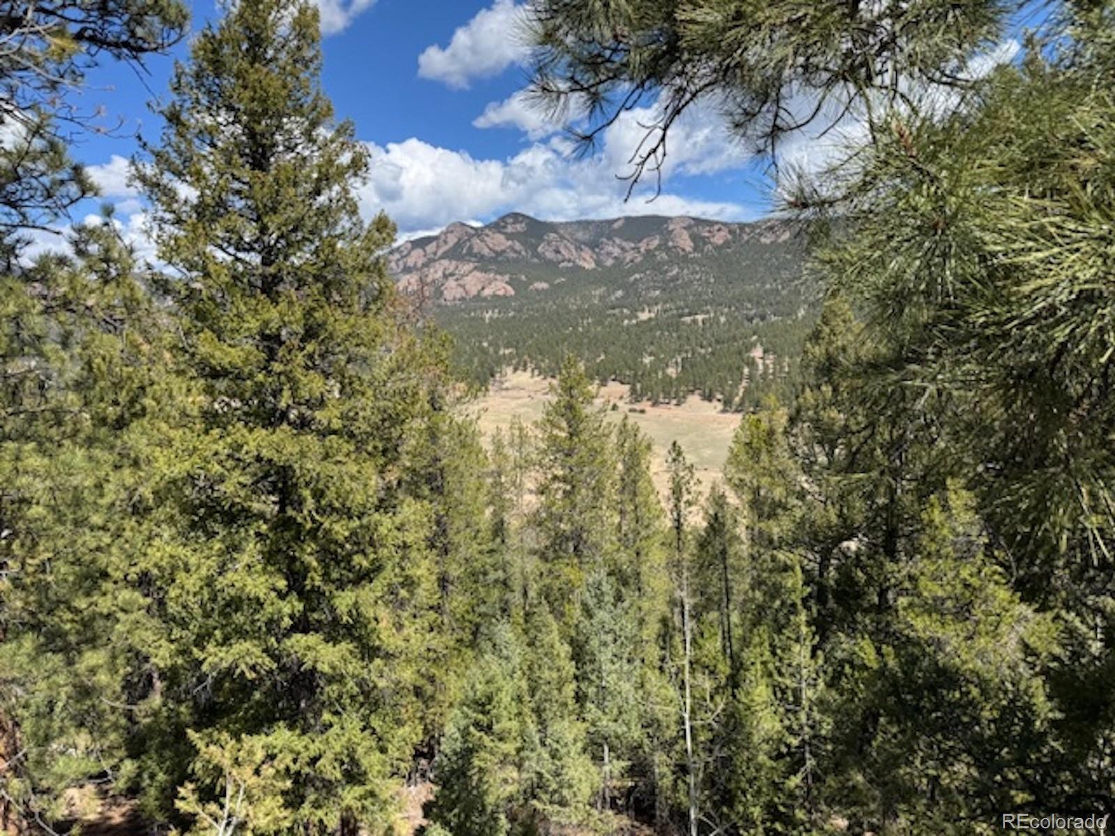 MLS Image #3 for 33505  diana road,pine, Colorado