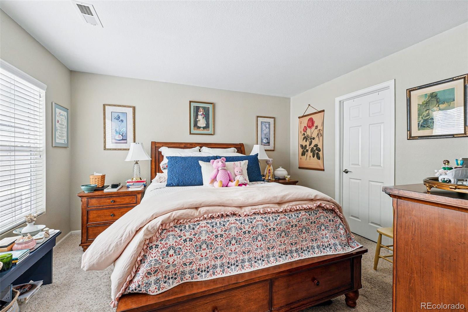 MLS Image #17 for 9079  apache plume drive,parker, Colorado