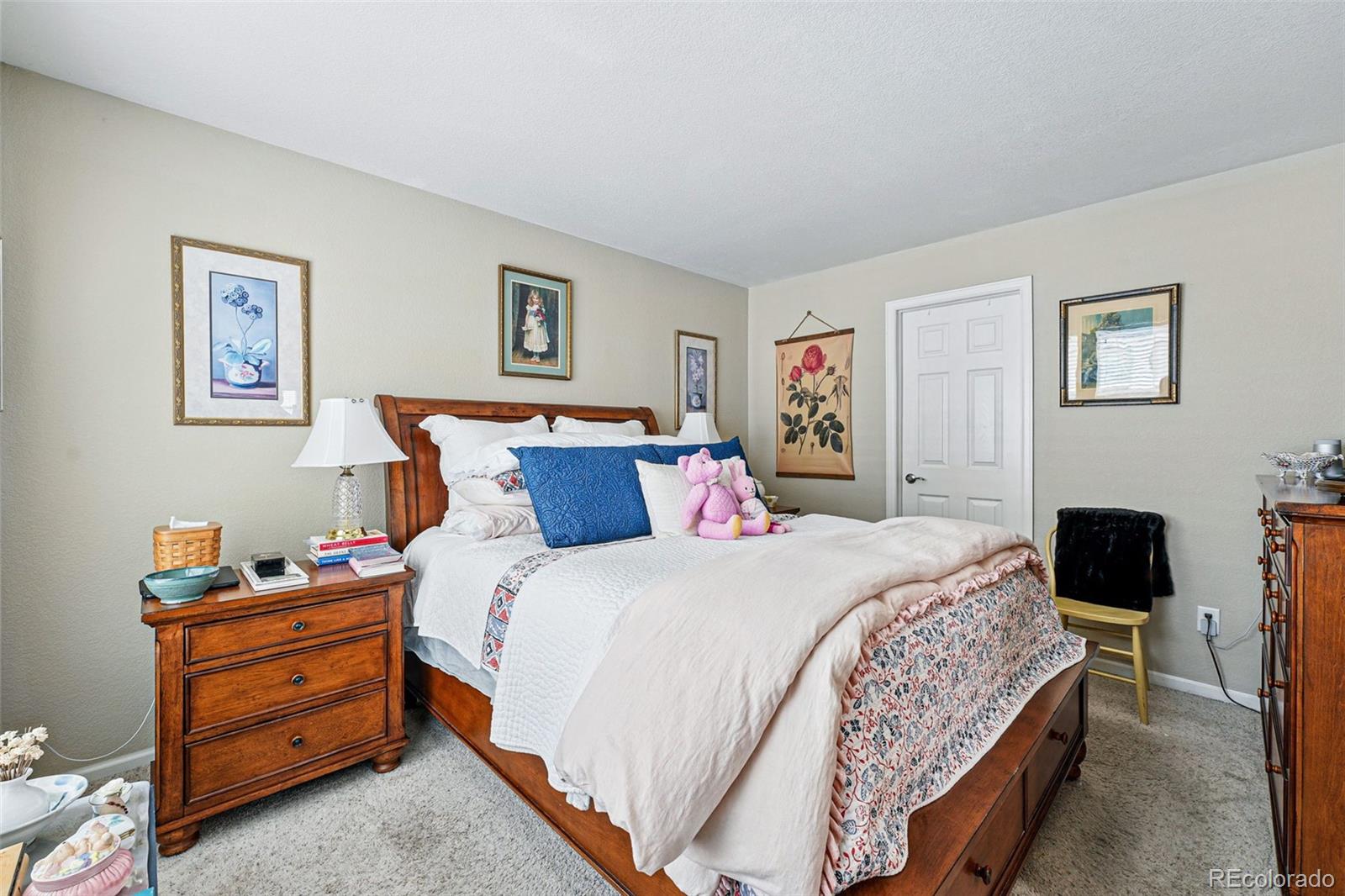 MLS Image #18 for 9079  apache plume drive,parker, Colorado