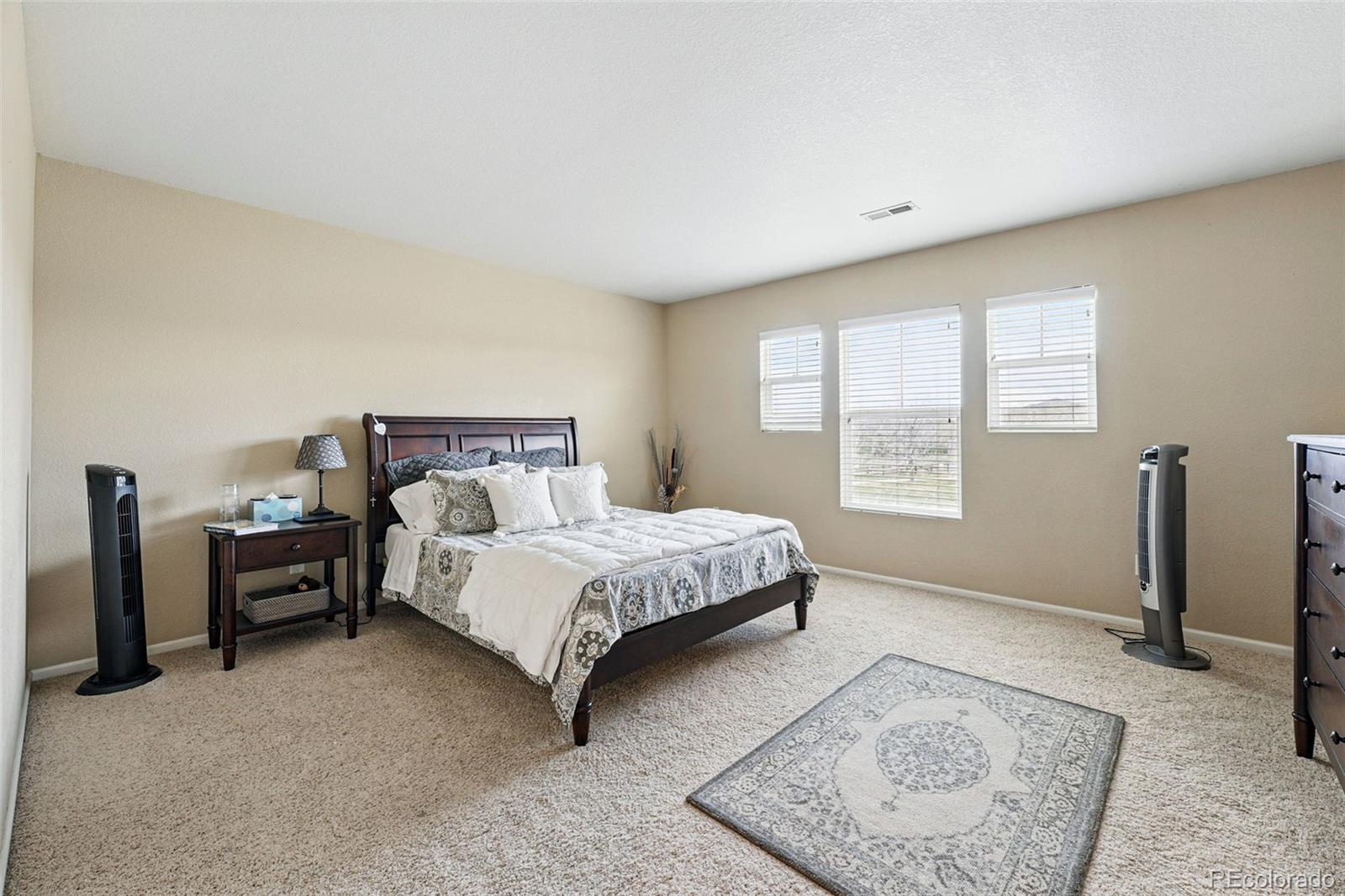 MLS Image #24 for 9079  apache plume drive,parker, Colorado